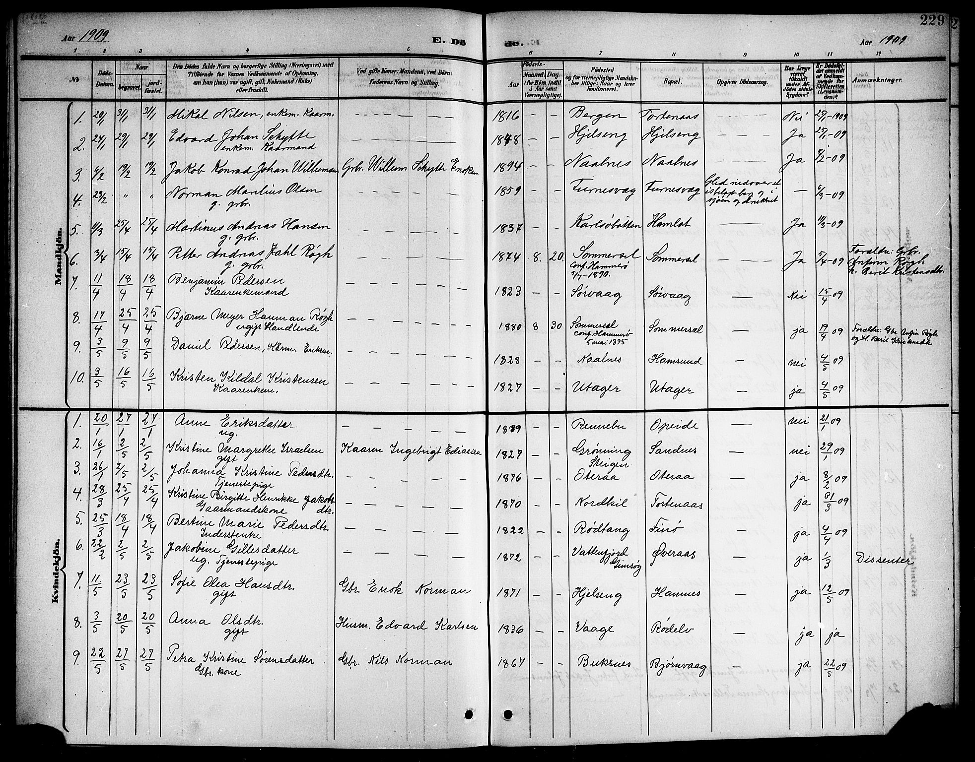 Ministerialprotokoller, klokkerbøker og fødselsregistre - Nordland, AV/SAT-A-1459/859/L0860: Parish register (copy) no. 859C06, 1899-1909, p. 229