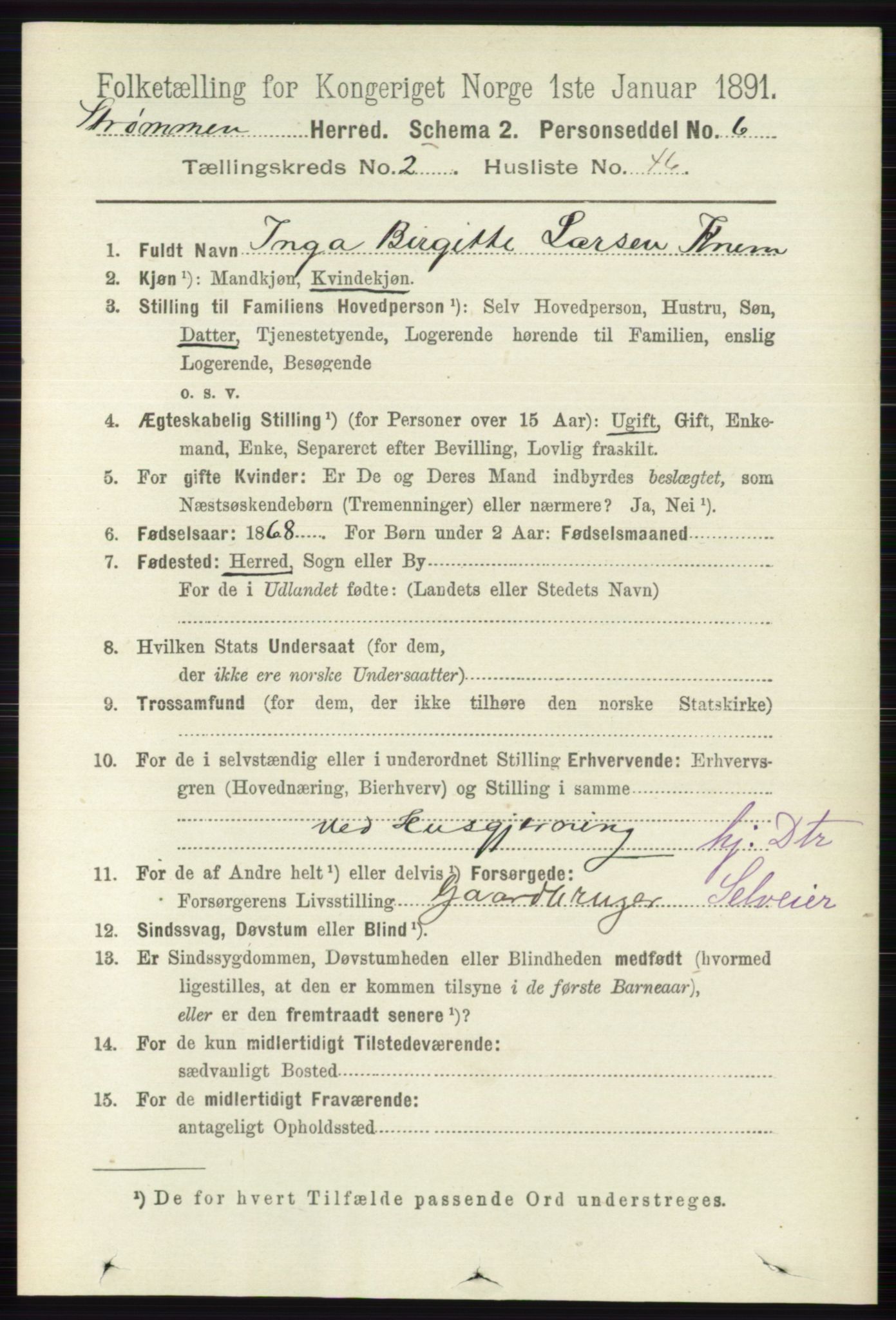 RA, 1891 census for 0711 Strømm, 1891, p. 970