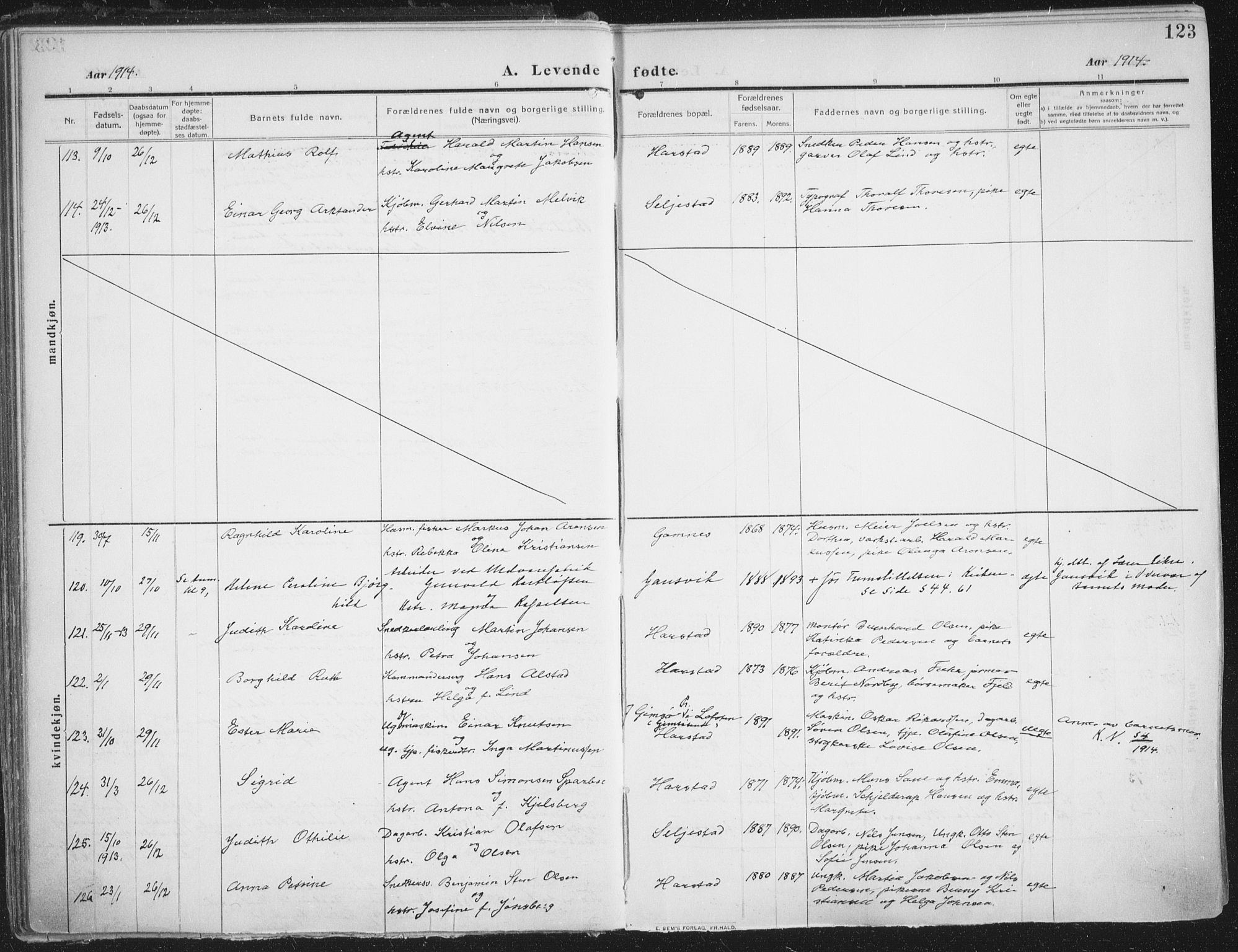 Trondenes sokneprestkontor, AV/SATØ-S-1319/H/Ha/L0018kirke: Parish register (official) no. 18, 1909-1918, p. 123