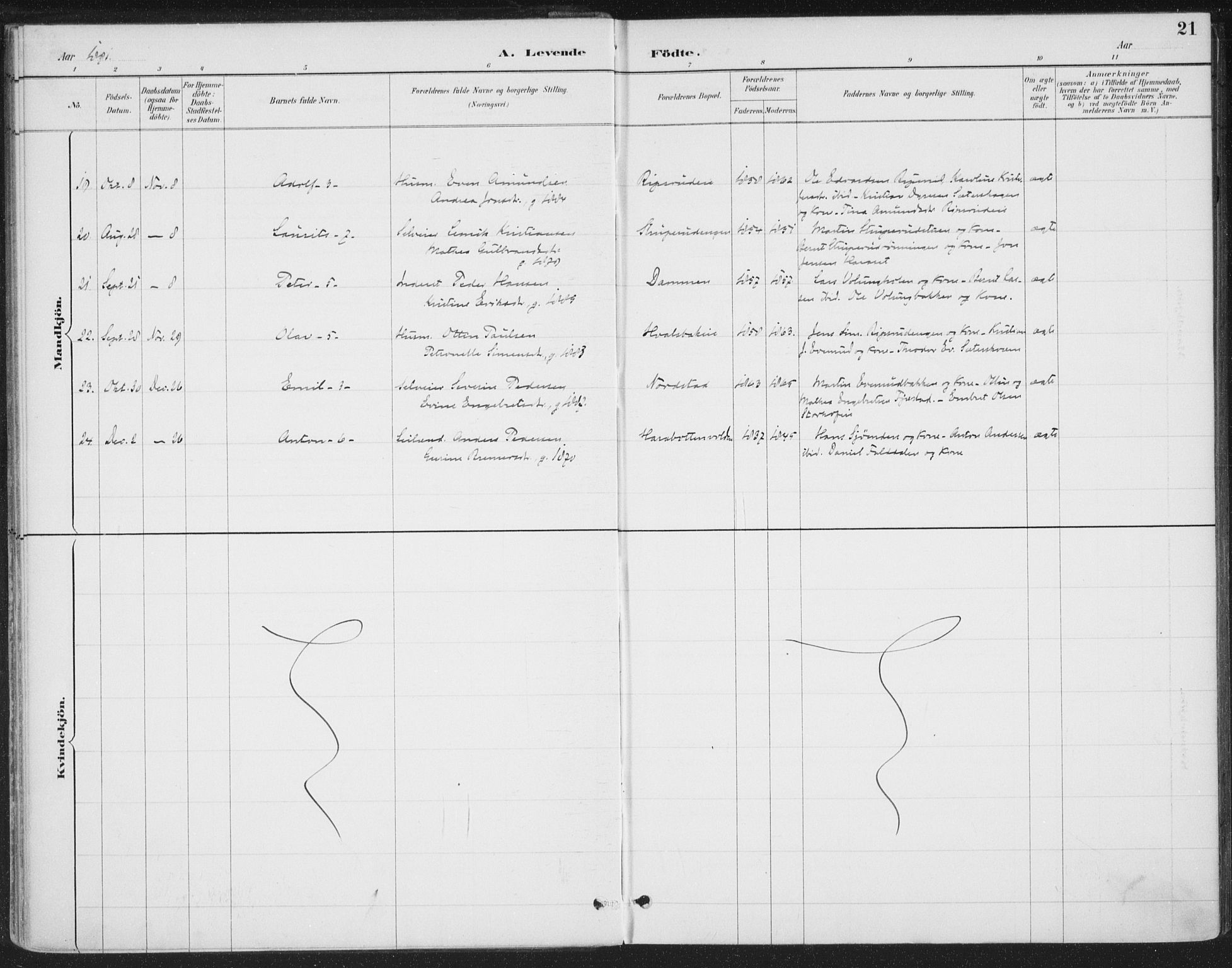 Romedal prestekontor, SAH/PREST-004/K/L0008: Parish register (official) no. 8, 1887-1905, p. 21