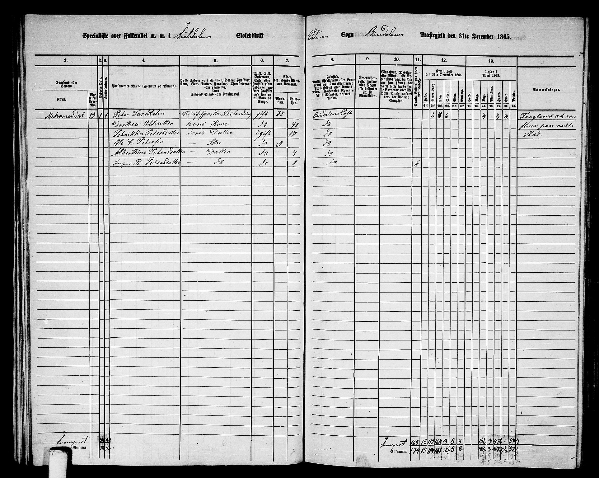 RA, 1865 census for Bindal, 1865, p. 29