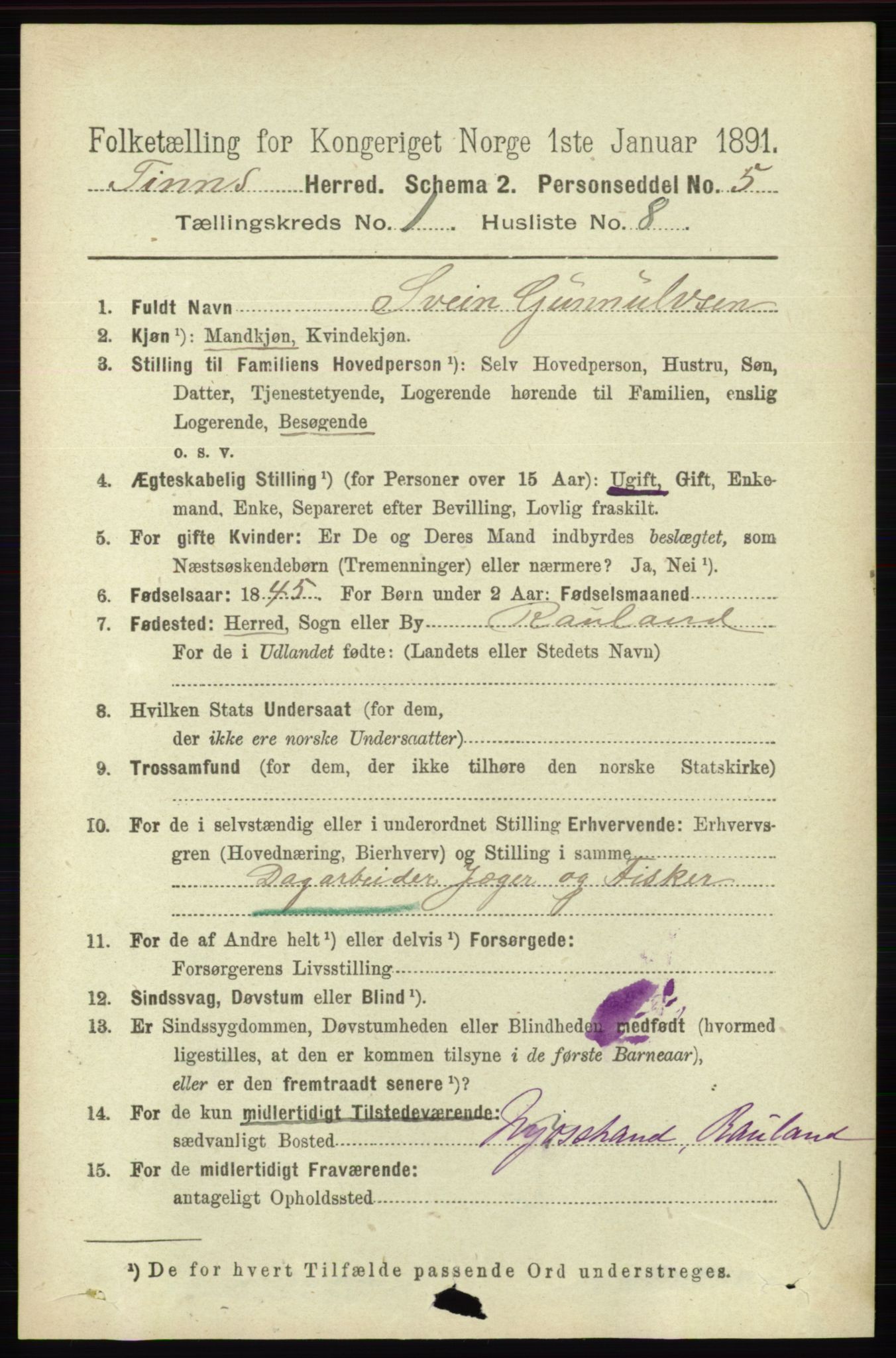 RA, 1891 census for 0826 Tinn, 1891, p. 87