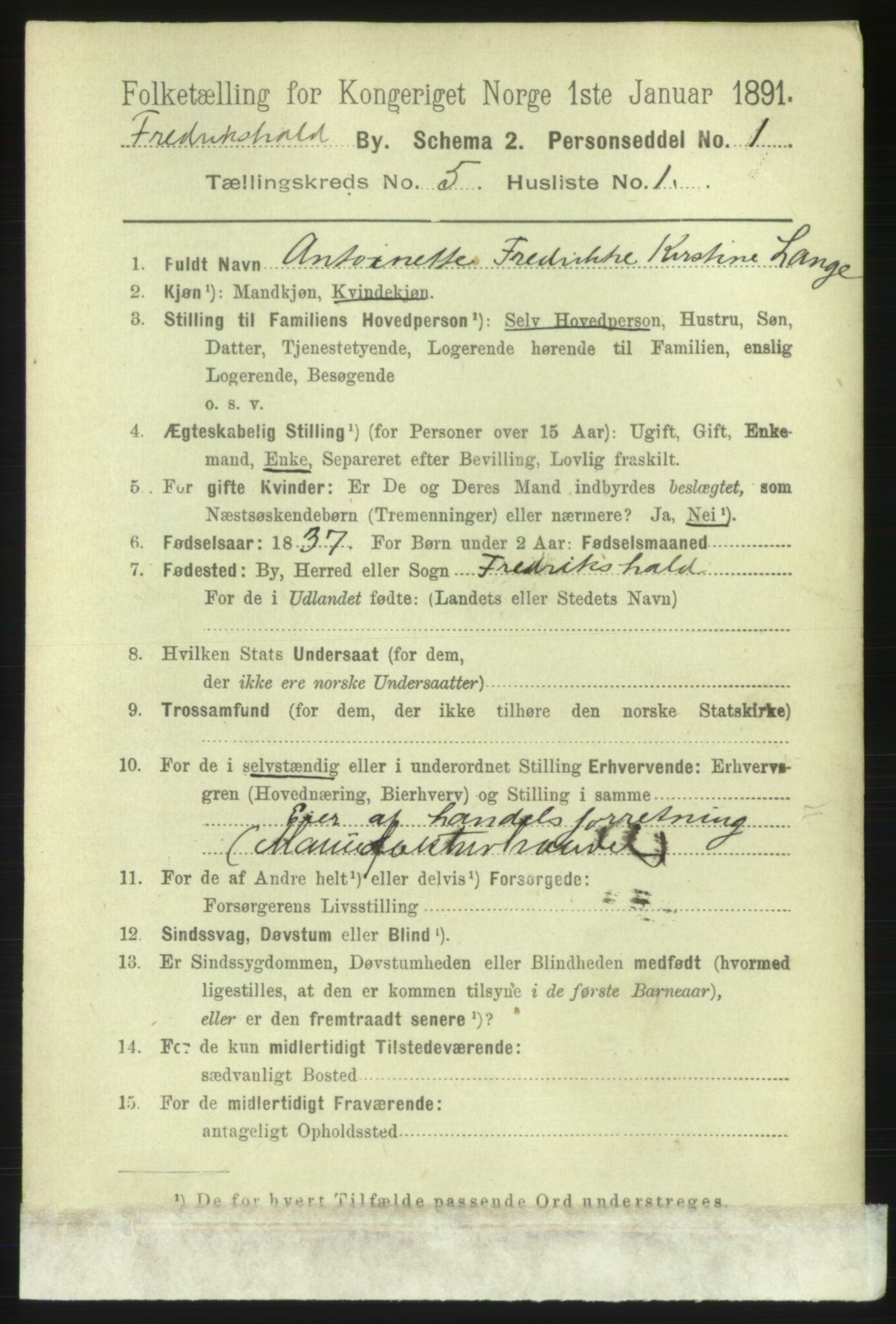 RA, 1891 census for 0101 Fredrikshald, 1891, p. 4052