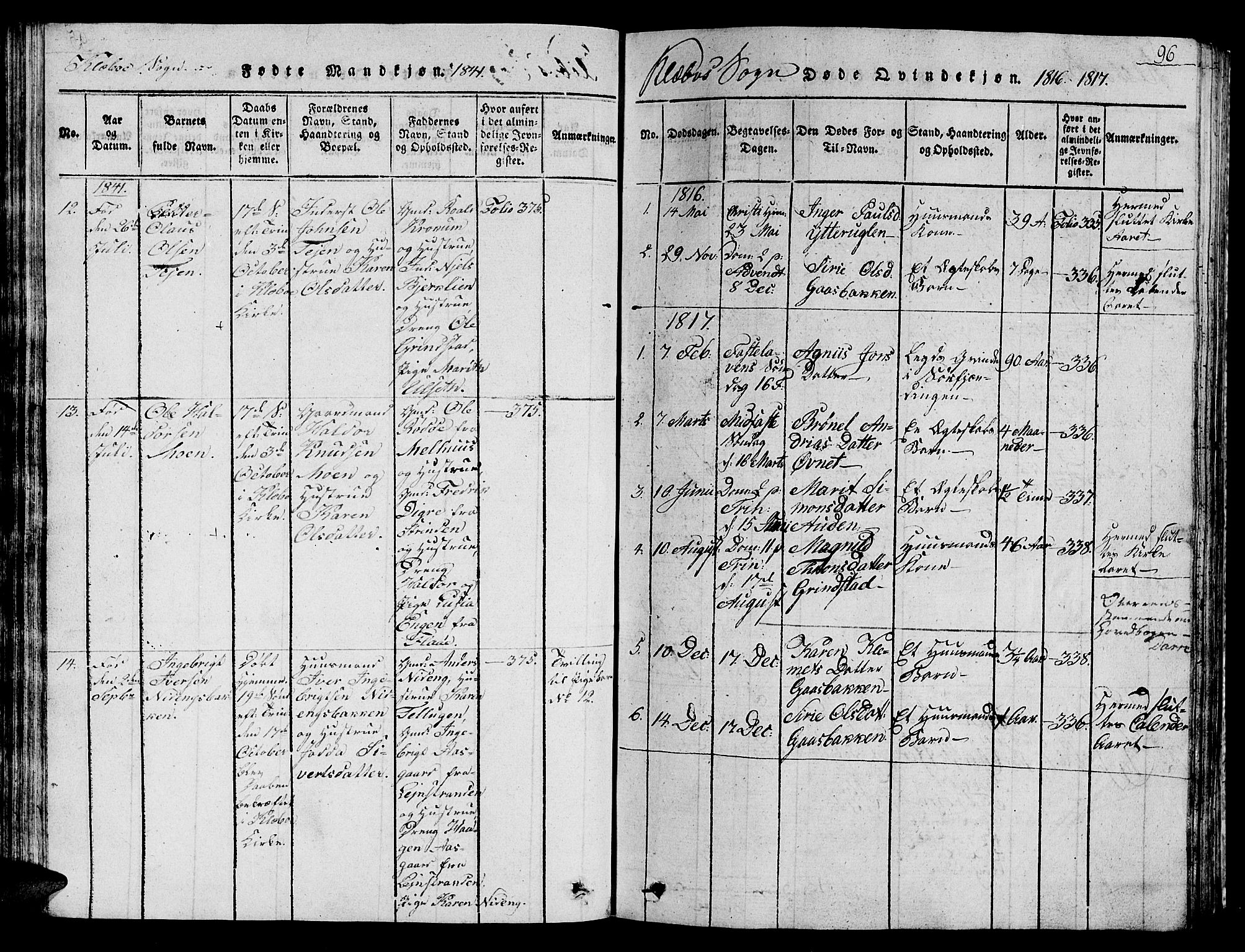 Ministerialprotokoller, klokkerbøker og fødselsregistre - Sør-Trøndelag, SAT/A-1456/618/L0450: Parish register (copy) no. 618C01, 1816-1865, p. 96