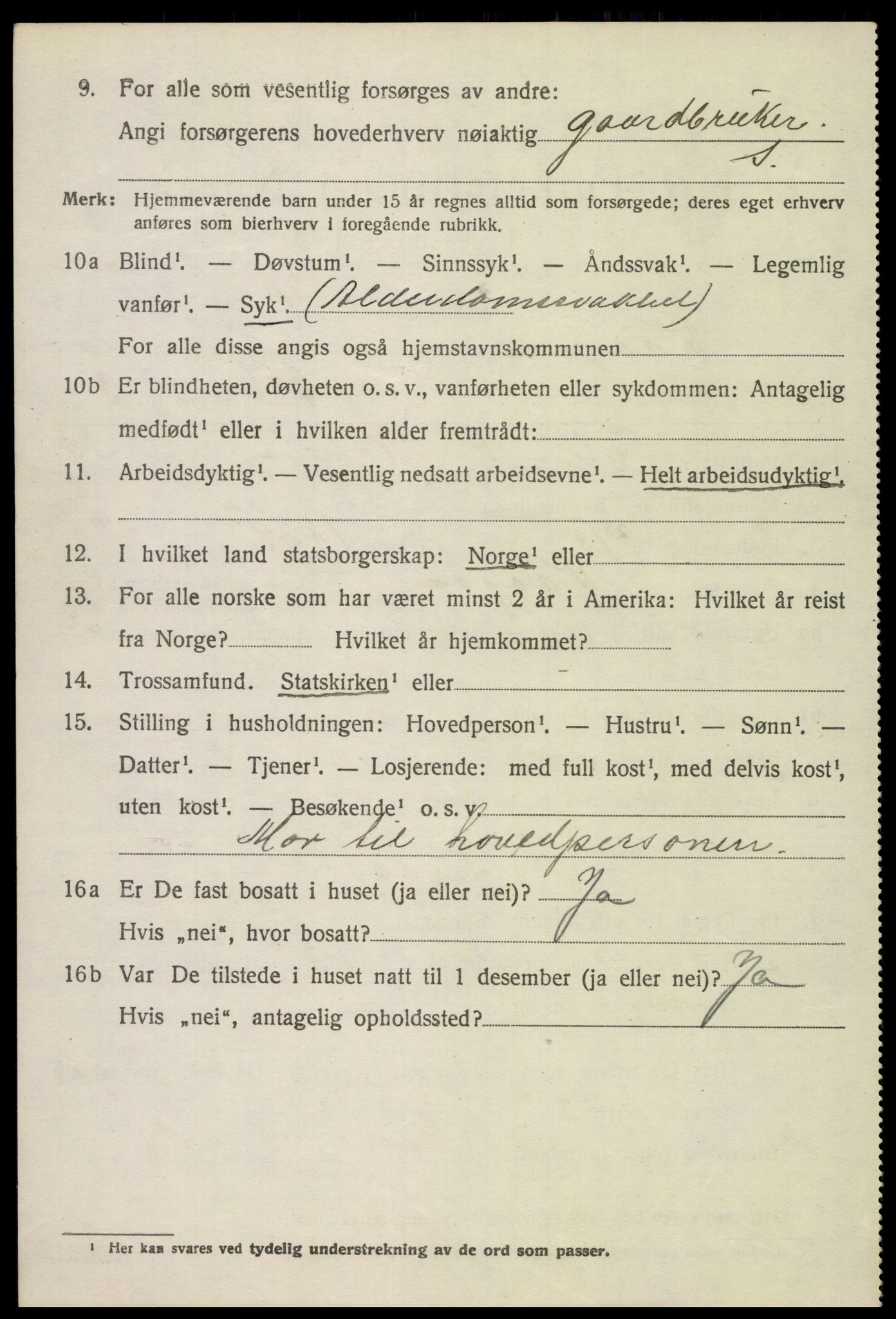 SAH, 1920 census for Vågå, 1920, p. 5293