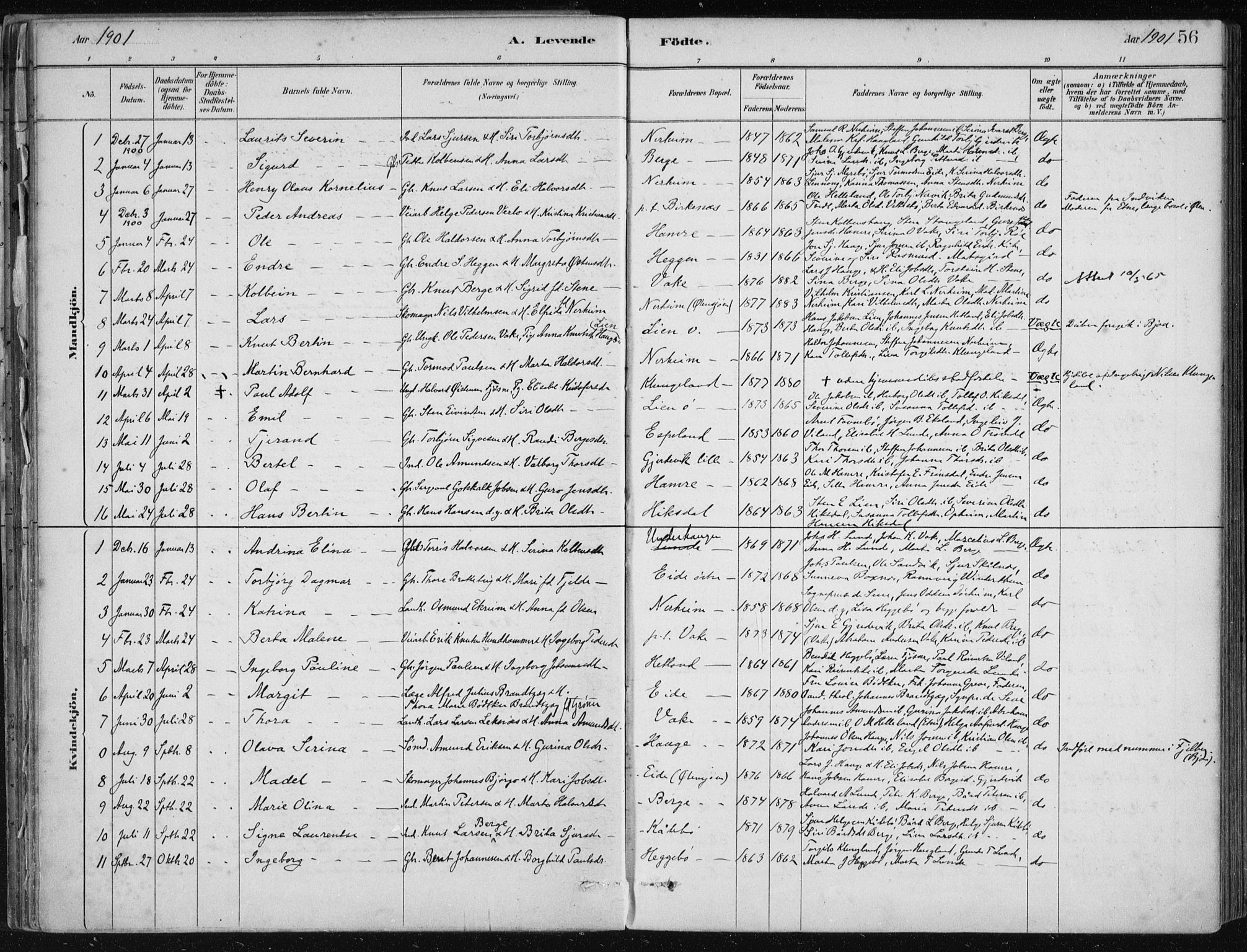 Fjelberg sokneprestembete, AV/SAB-A-75201/H/Haa: Parish register (official) no. D 1, 1879-1918, p. 56