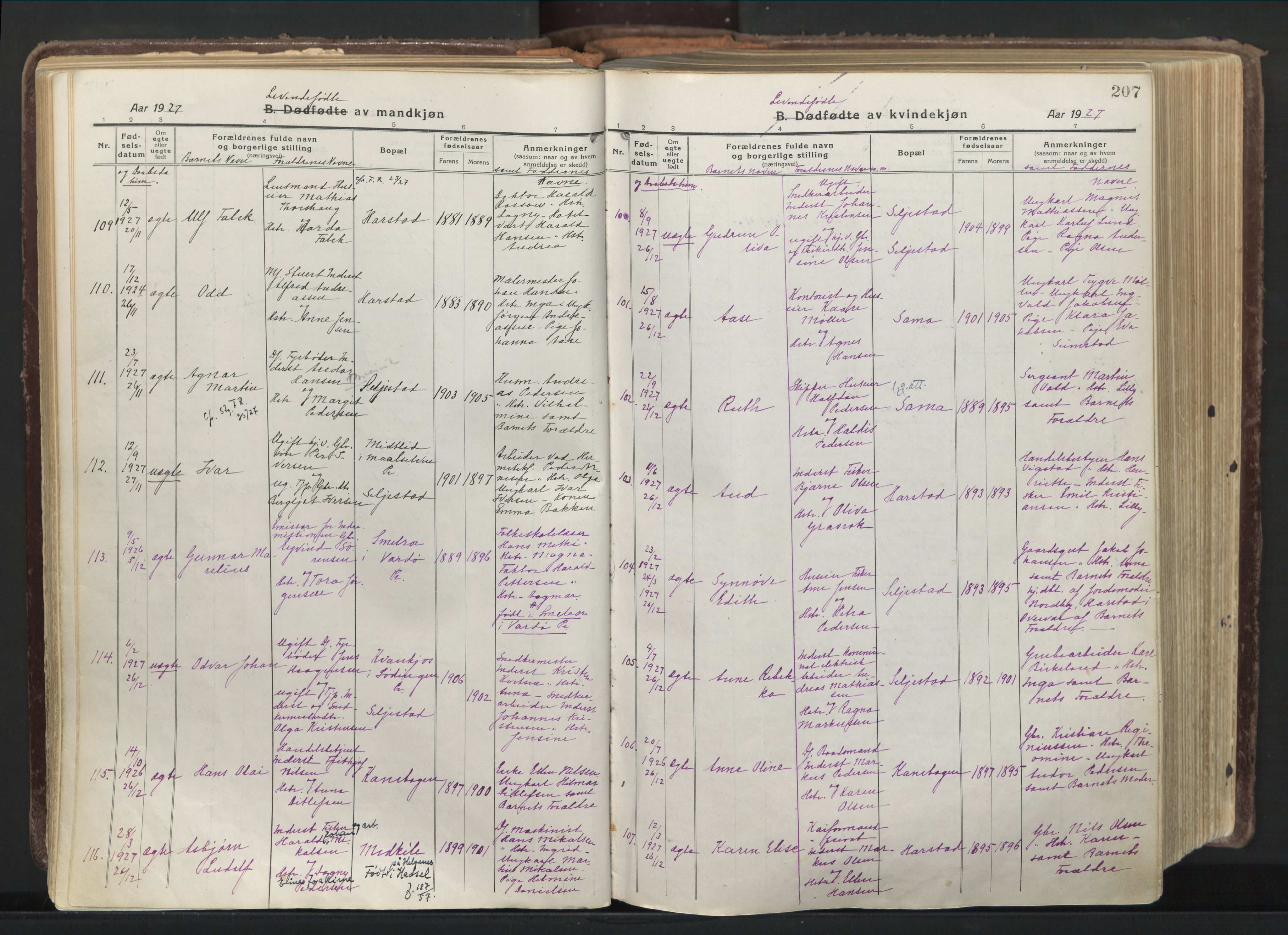 Trondenes sokneprestkontor, AV/SATØ-S-1319/H/Ha/L0019kirke: Parish register (official) no. 19, 1919-1928, p. 207