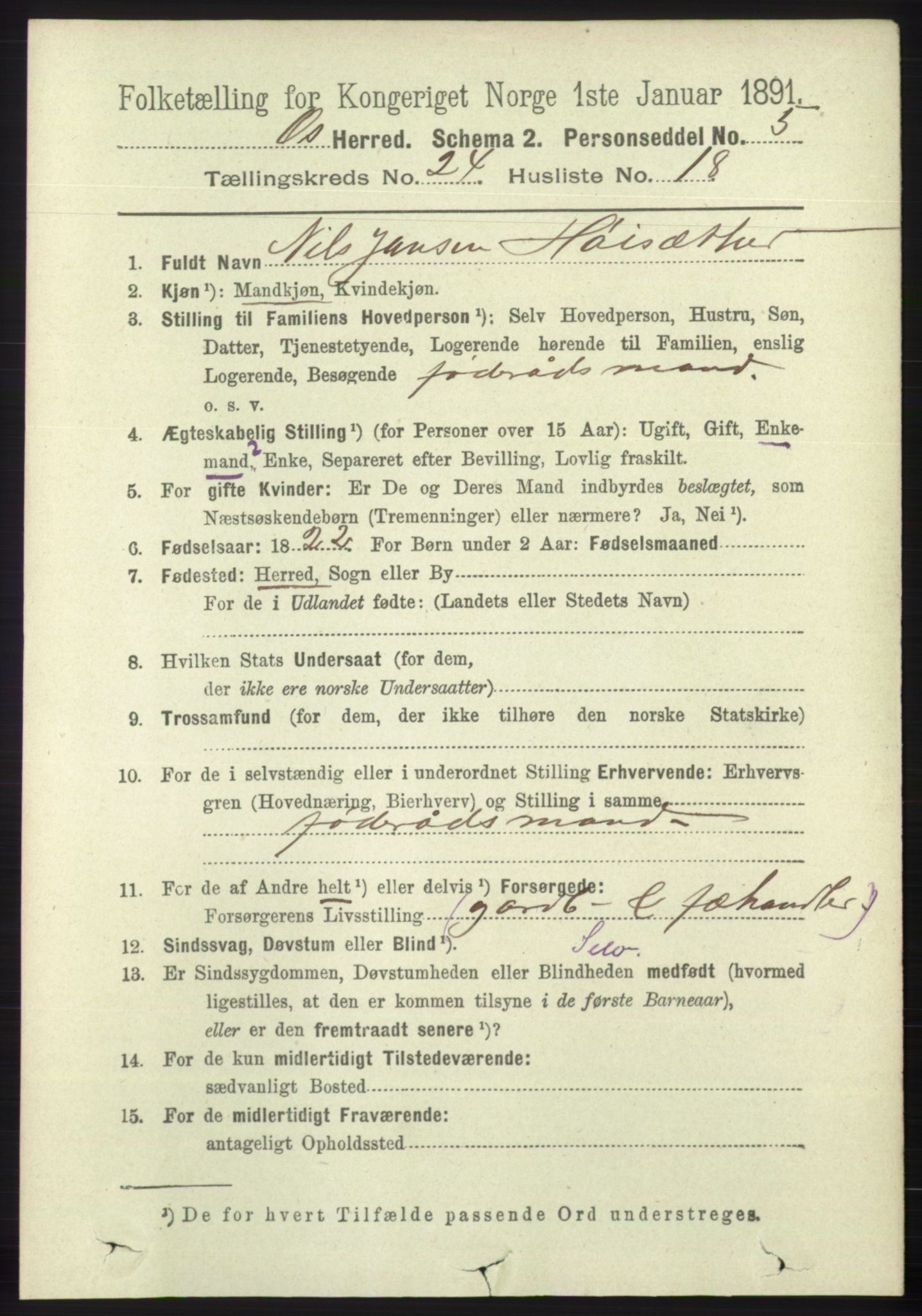 RA, 1891 census for 1243 Os, 1891, p. 5328