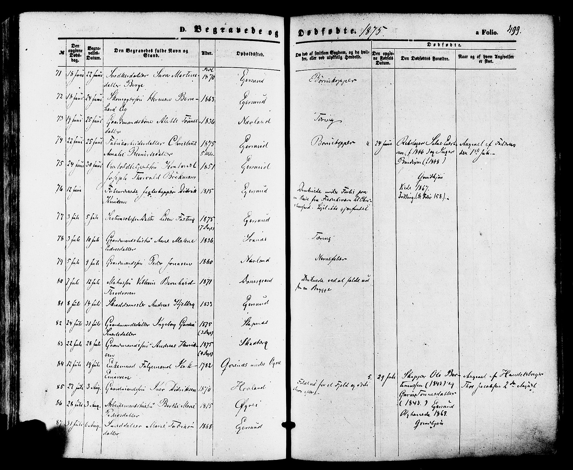 Eigersund sokneprestkontor, AV/SAST-A-101807/S08/L0014: Parish register (official) no. A 13, 1866-1878, p. 499