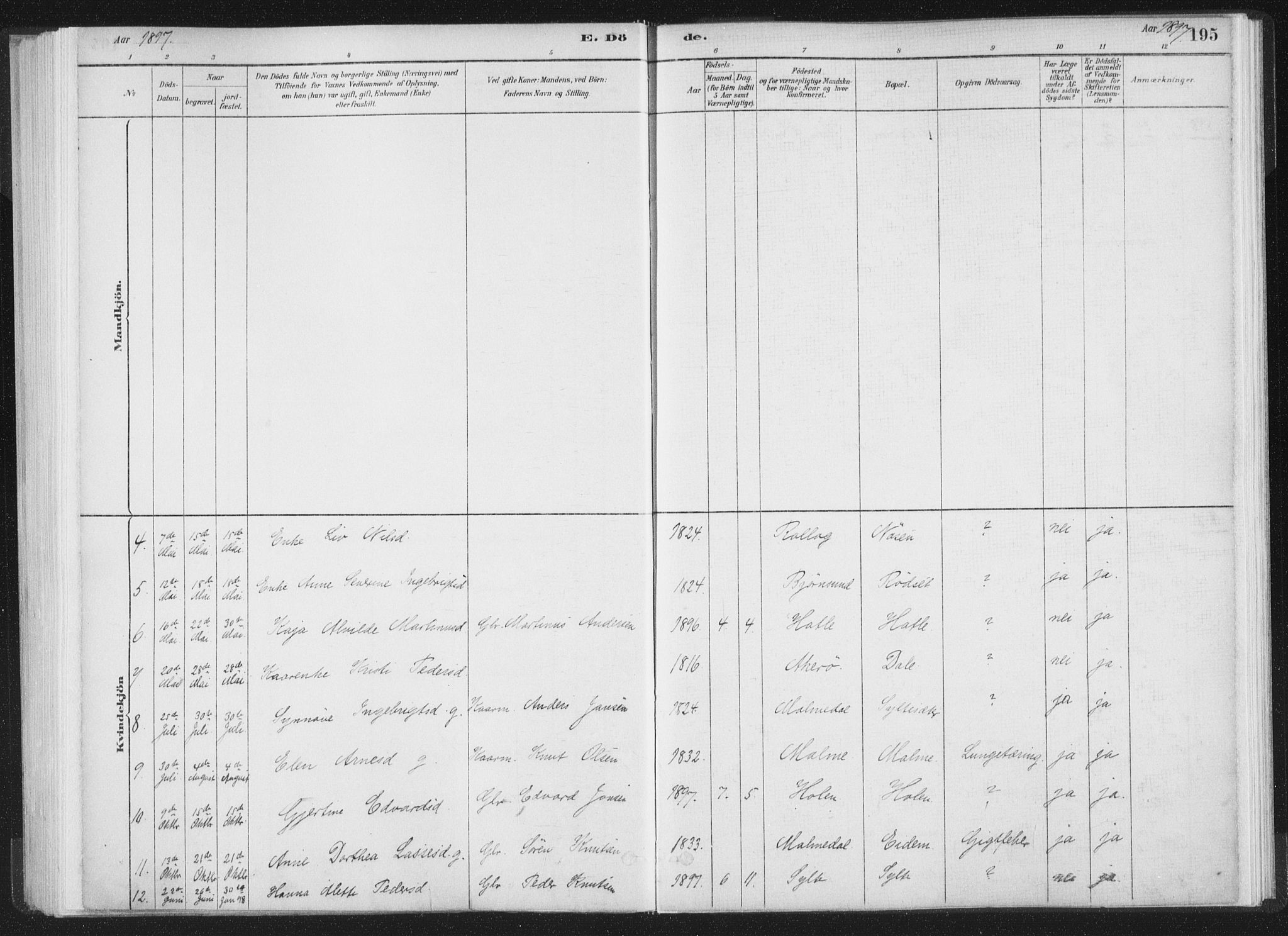 Ministerialprotokoller, klokkerbøker og fødselsregistre - Møre og Romsdal, AV/SAT-A-1454/564/L0740: Parish register (official) no. 564A01, 1880-1899, p. 195