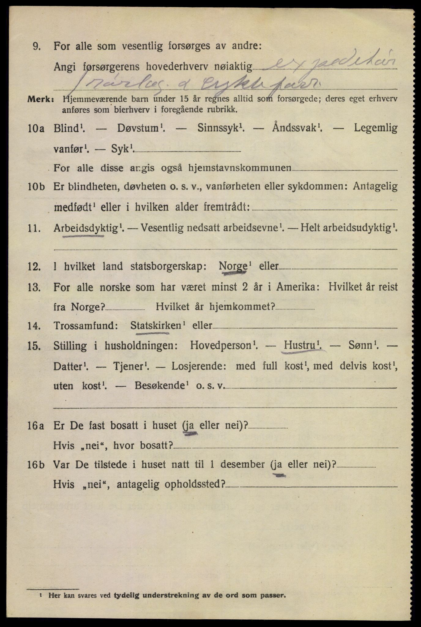 SAKO, 1920 census for Larvik, 1920, p. 16051