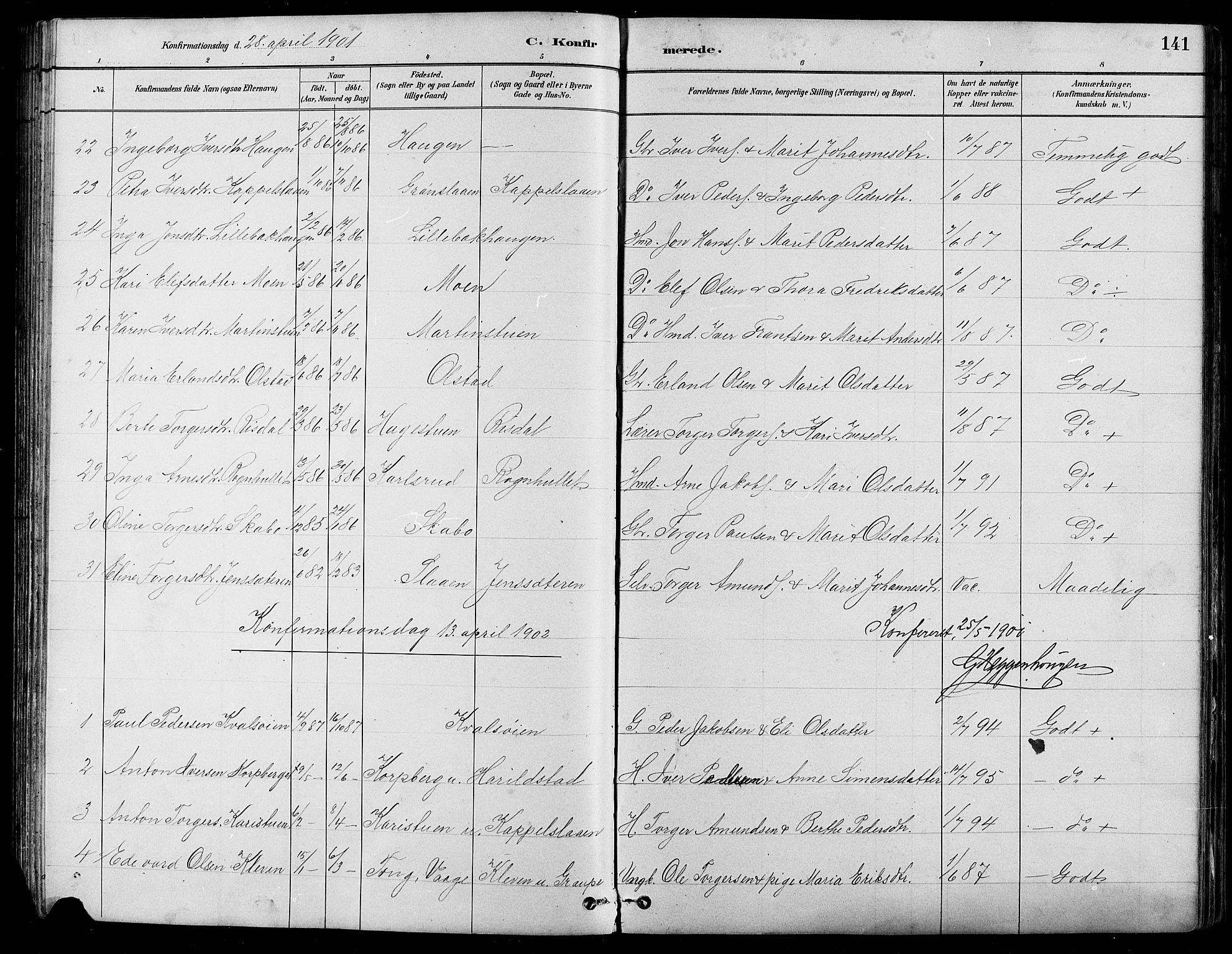 Nord-Fron prestekontor, SAH/PREST-080/H/Ha/Hab/L0005: Parish register (copy) no. 5, 1884-1914, p. 141