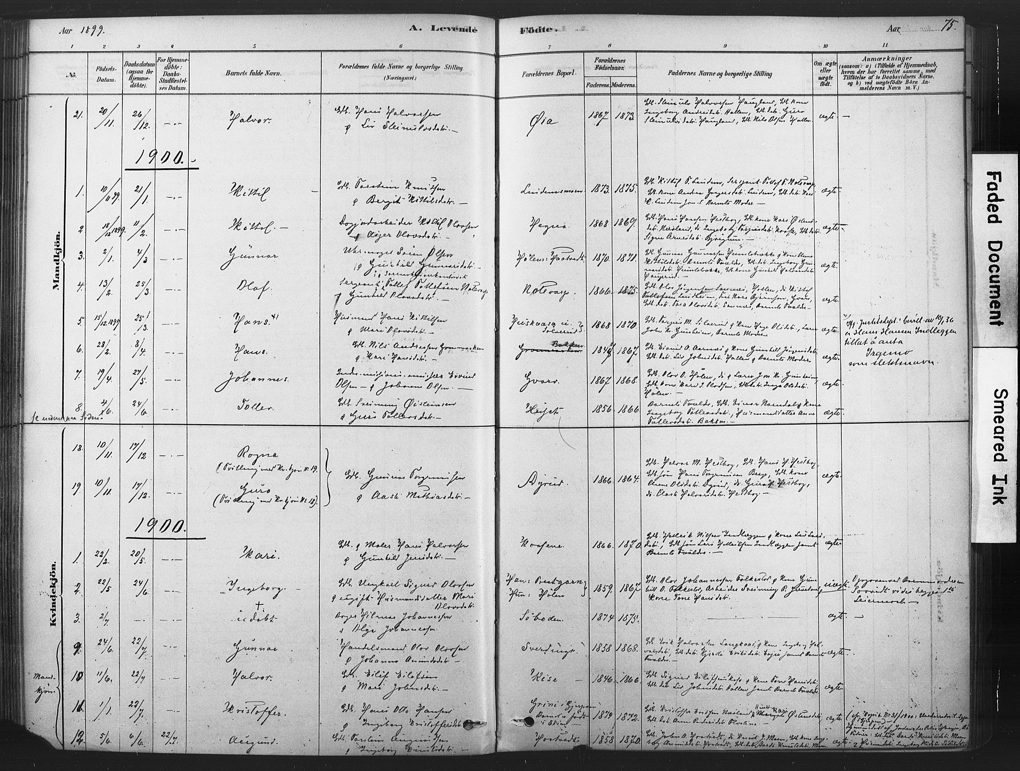 Sauherad kirkebøker, AV/SAKO-A-298/F/Fb/L0002: Parish register (official) no. II 2, 1878-1901, p. 75