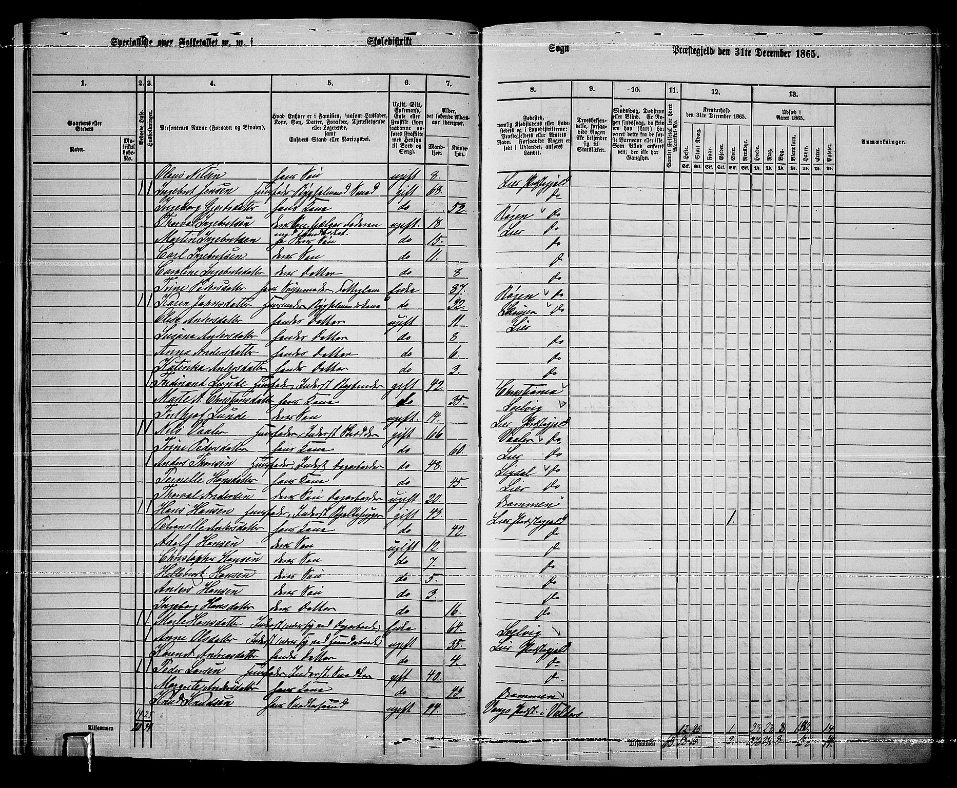 RA, 1865 census for Lier, 1865, p. 20