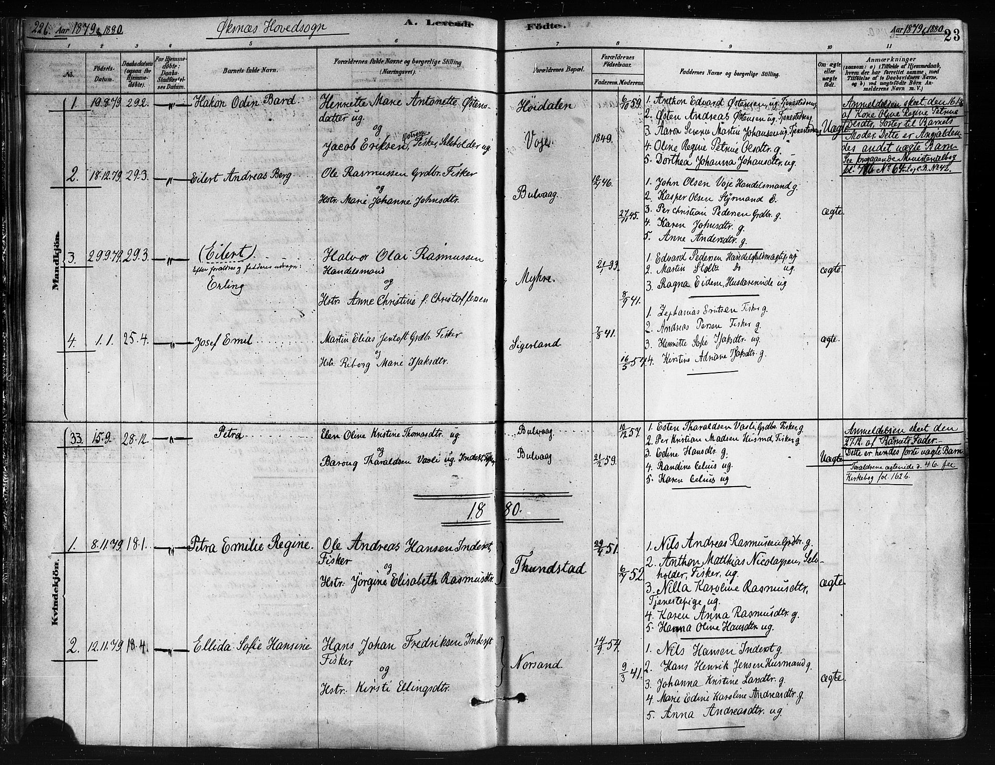 Ministerialprotokoller, klokkerbøker og fødselsregistre - Nordland, SAT/A-1459/893/L1335: Parish register (official) no. 893A08 /1, 1878-1884, p. 23
