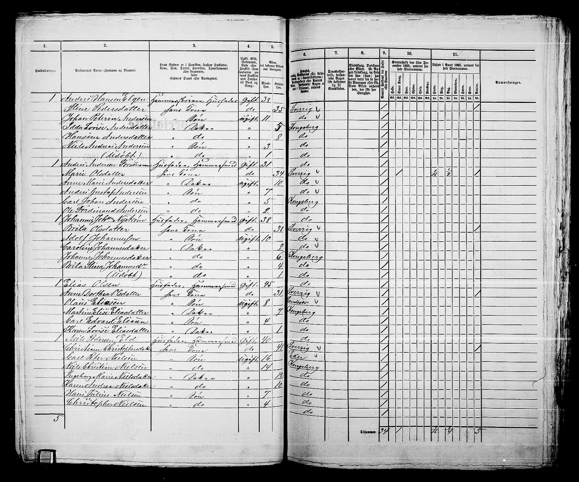 RA, 1865 census for Kongsberg/Kongsberg, 1865, p. 1313