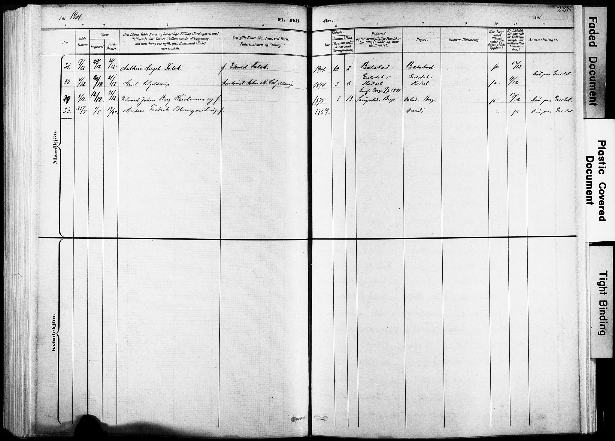 Ministerialprotokoller, klokkerbøker og fødselsregistre - Nordland, AV/SAT-A-1459/881/L1151: Parish register (official) no. 881A04, 1899-1907, p. 238