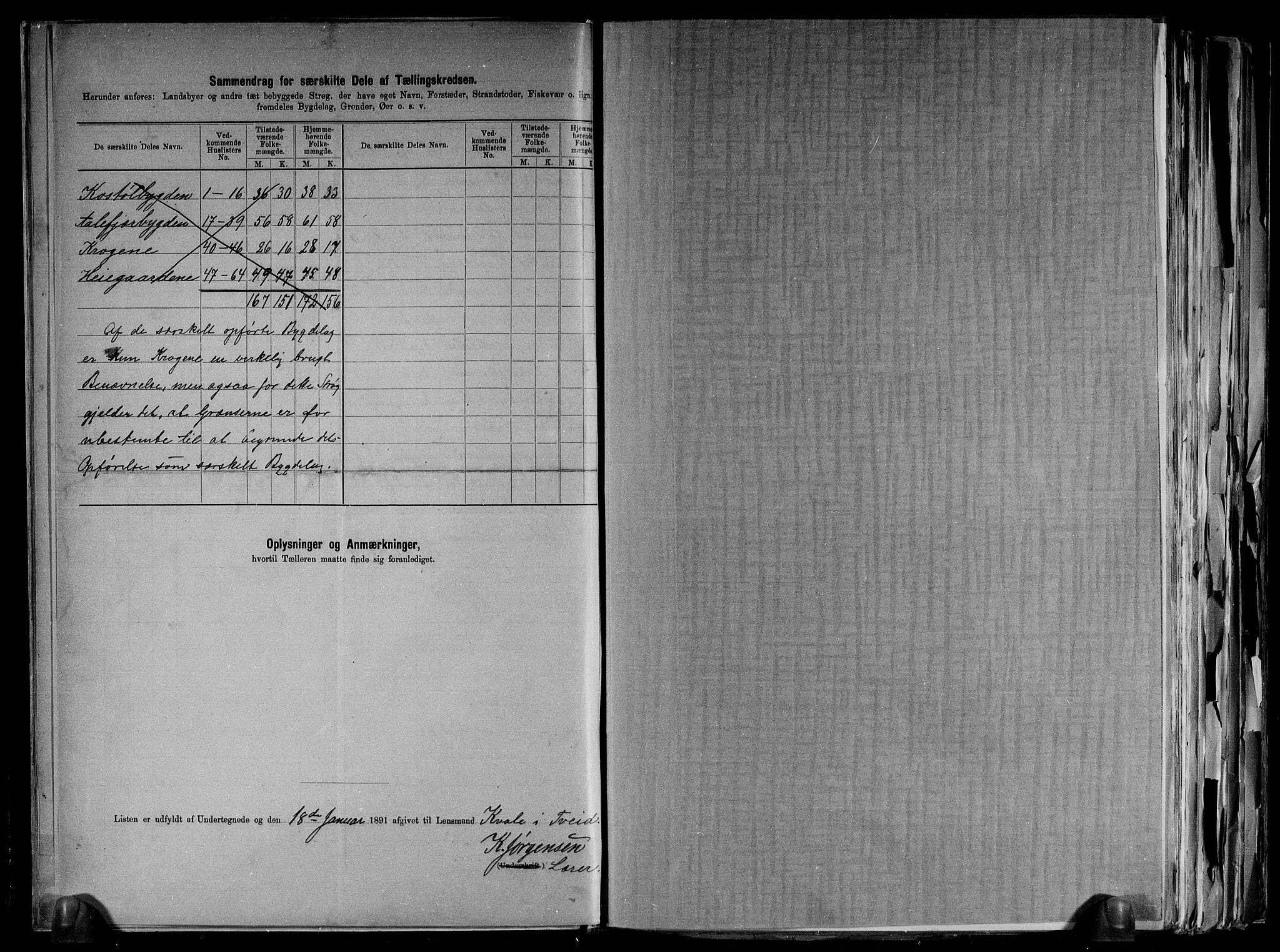 RA, 1891 census for 1013 Tveit, 1891, p. 13