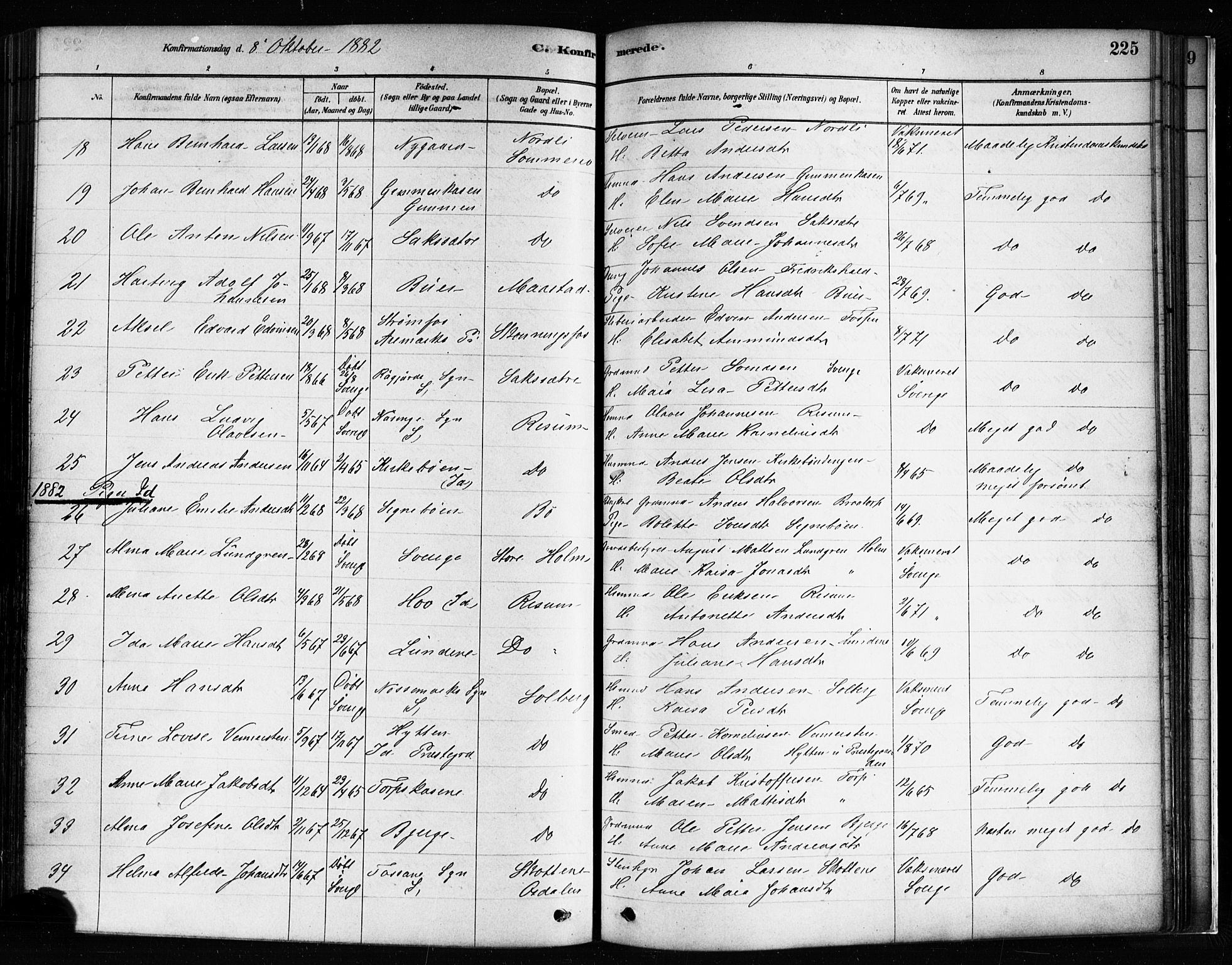 Idd prestekontor Kirkebøker, AV/SAO-A-10911/F/Fc/L0006a: Parish register (official) no. III 6A, 1878-1903, p. 225