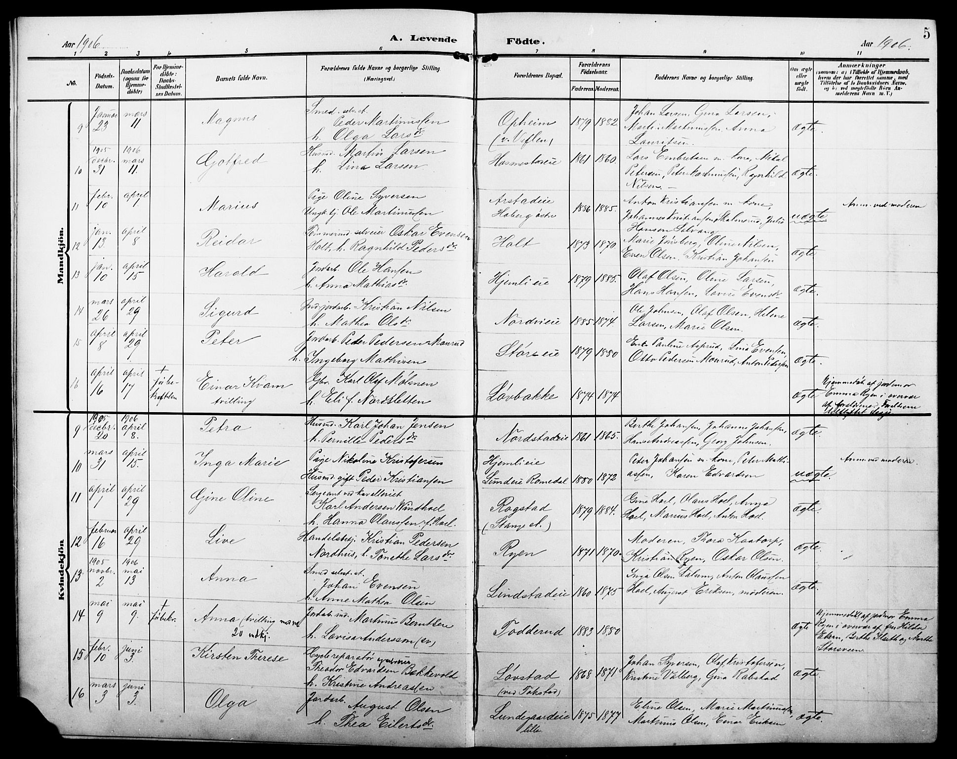 Stange prestekontor, AV/SAH-PREST-002/L/L0013: Parish register (copy) no. 13, 1906-1915, p. 5