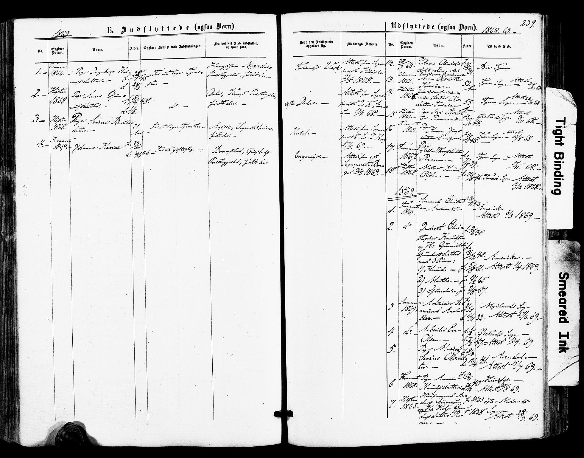 Froland sokneprestkontor, AV/SAK-1111-0013/F/Fa/L0003: Parish register (official) no. A 3, 1864-1881, p. 239