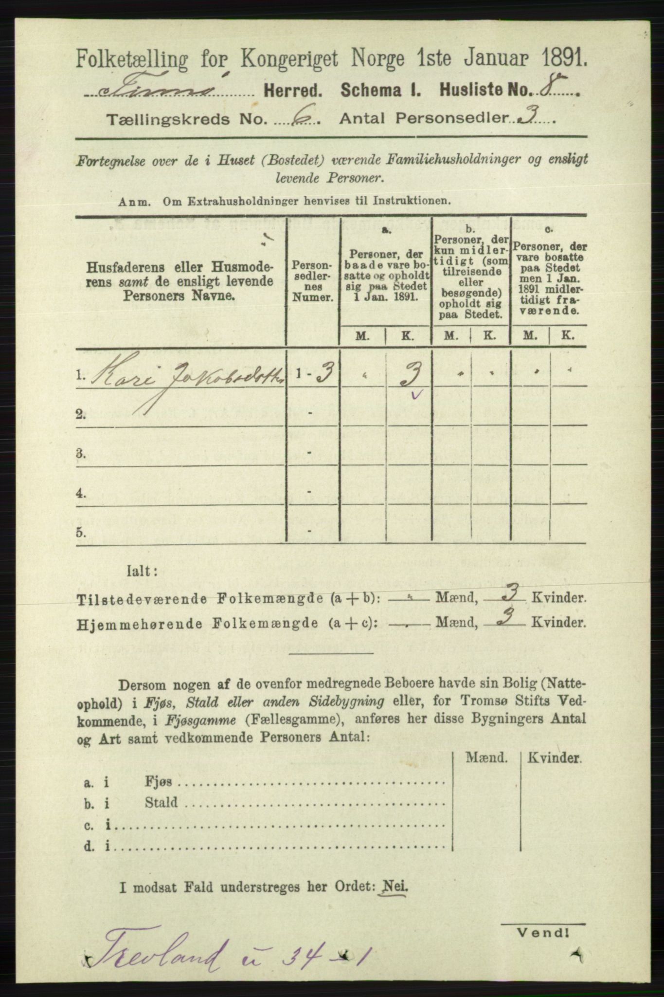 RA, 1891 census for 1141 Finnøy, 1891, p. 1251