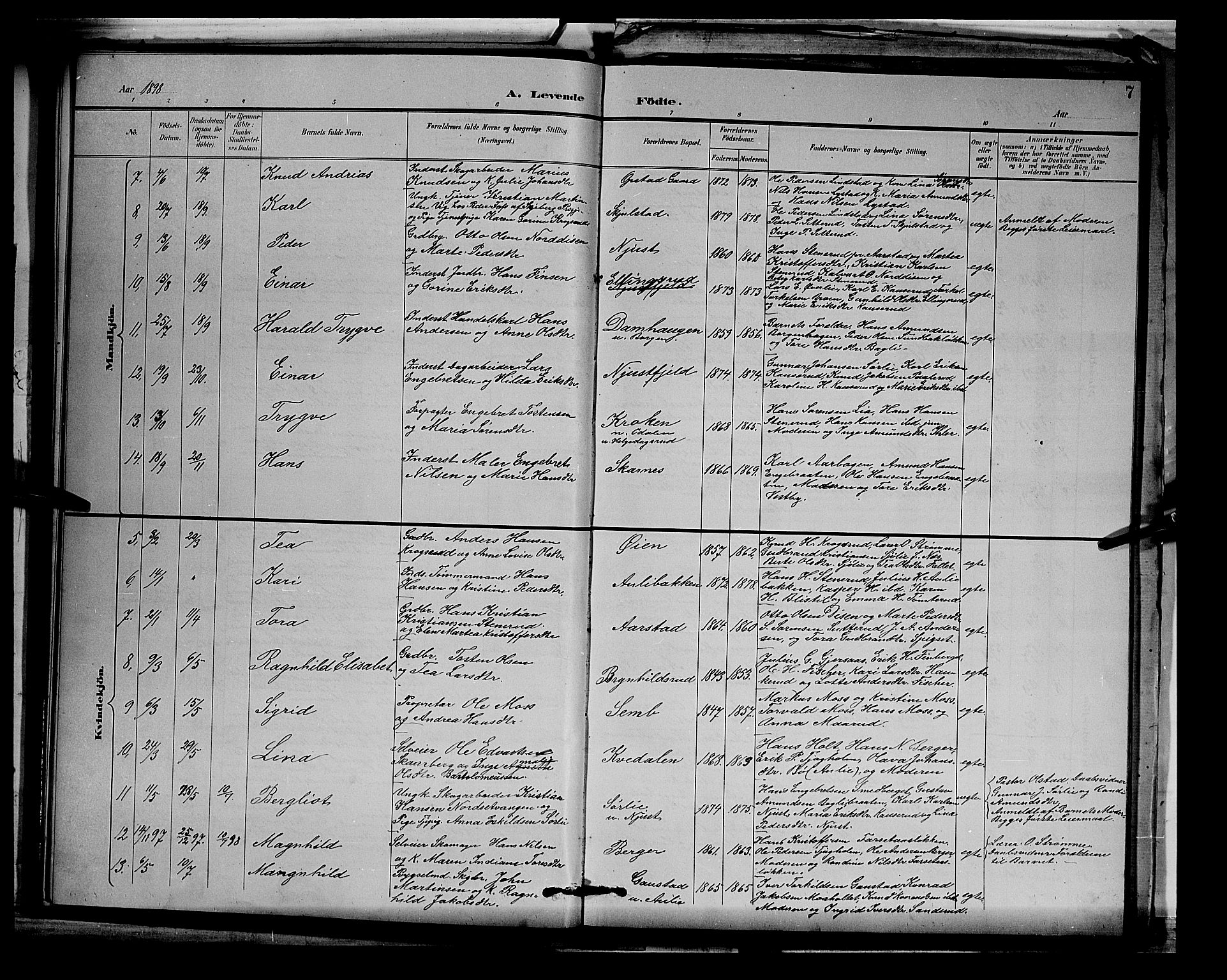 Sør-Odal prestekontor, AV/SAH-PREST-030/H/Ha/Hab/L0003: Parish register (copy) no. 3, 1895-1906, p. 7