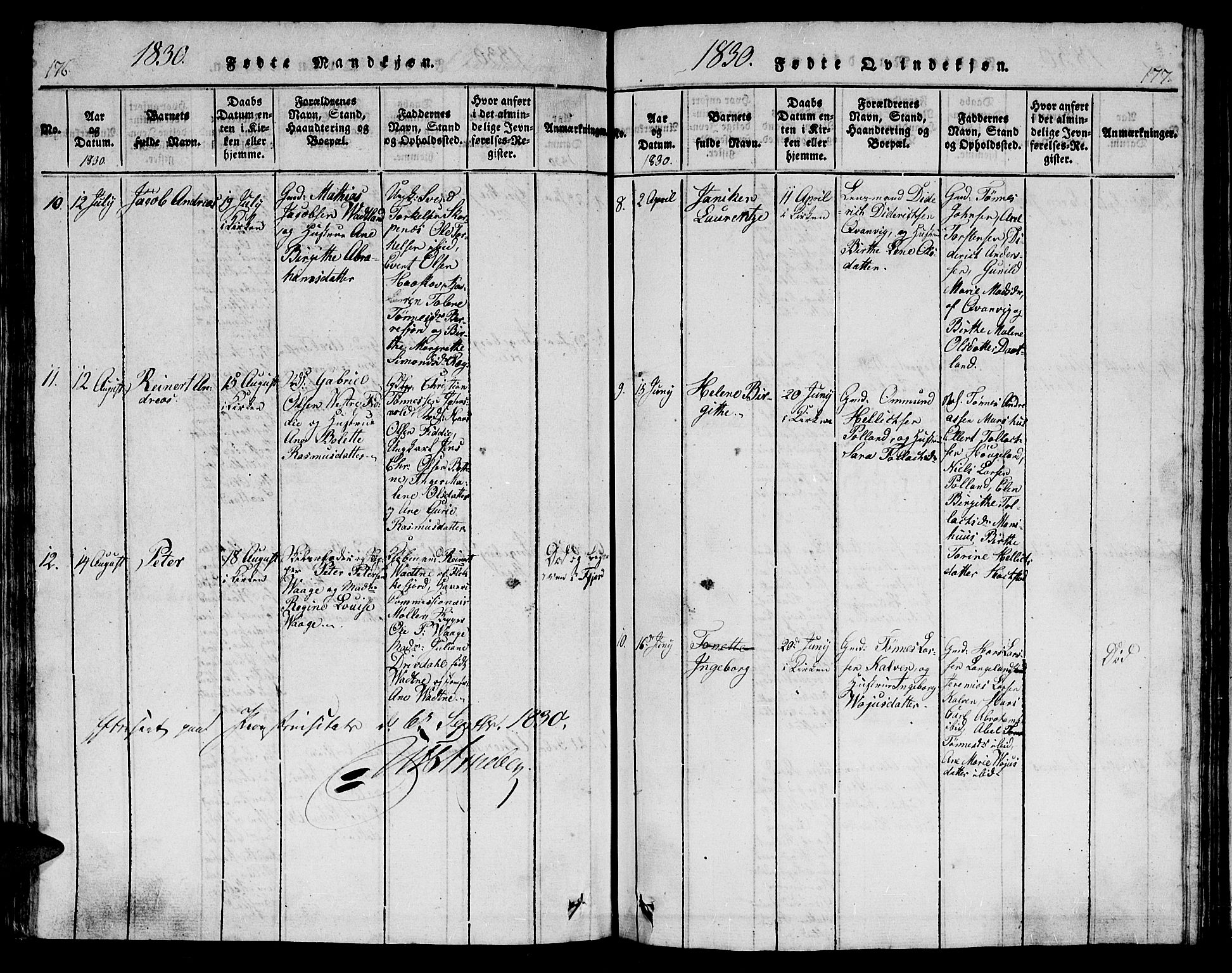 Flekkefjord sokneprestkontor, AV/SAK-1111-0012/F/Fb/Fbb/L0001: Parish register (copy) no. B 1, 1815-1830, p. 176-177