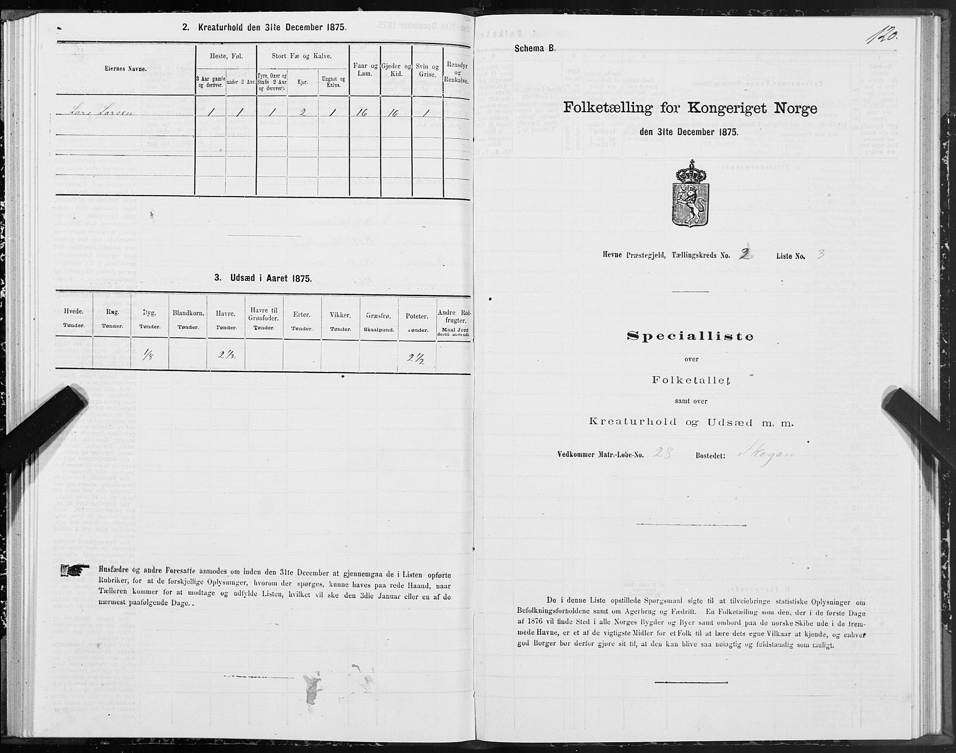 SAT, 1875 census for 1612P Hemne, 1875, p. 1120