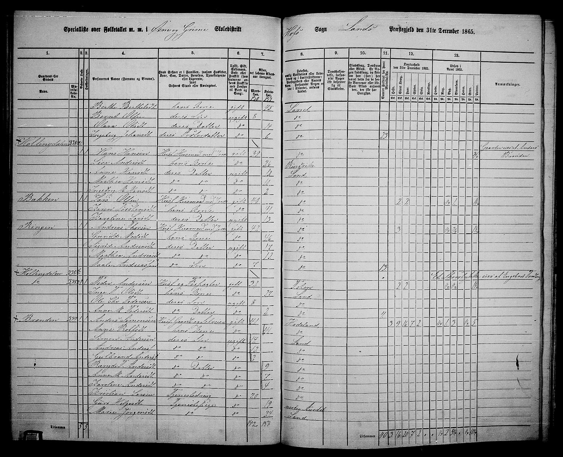 RA, 1865 census for Land, 1865, p. 383