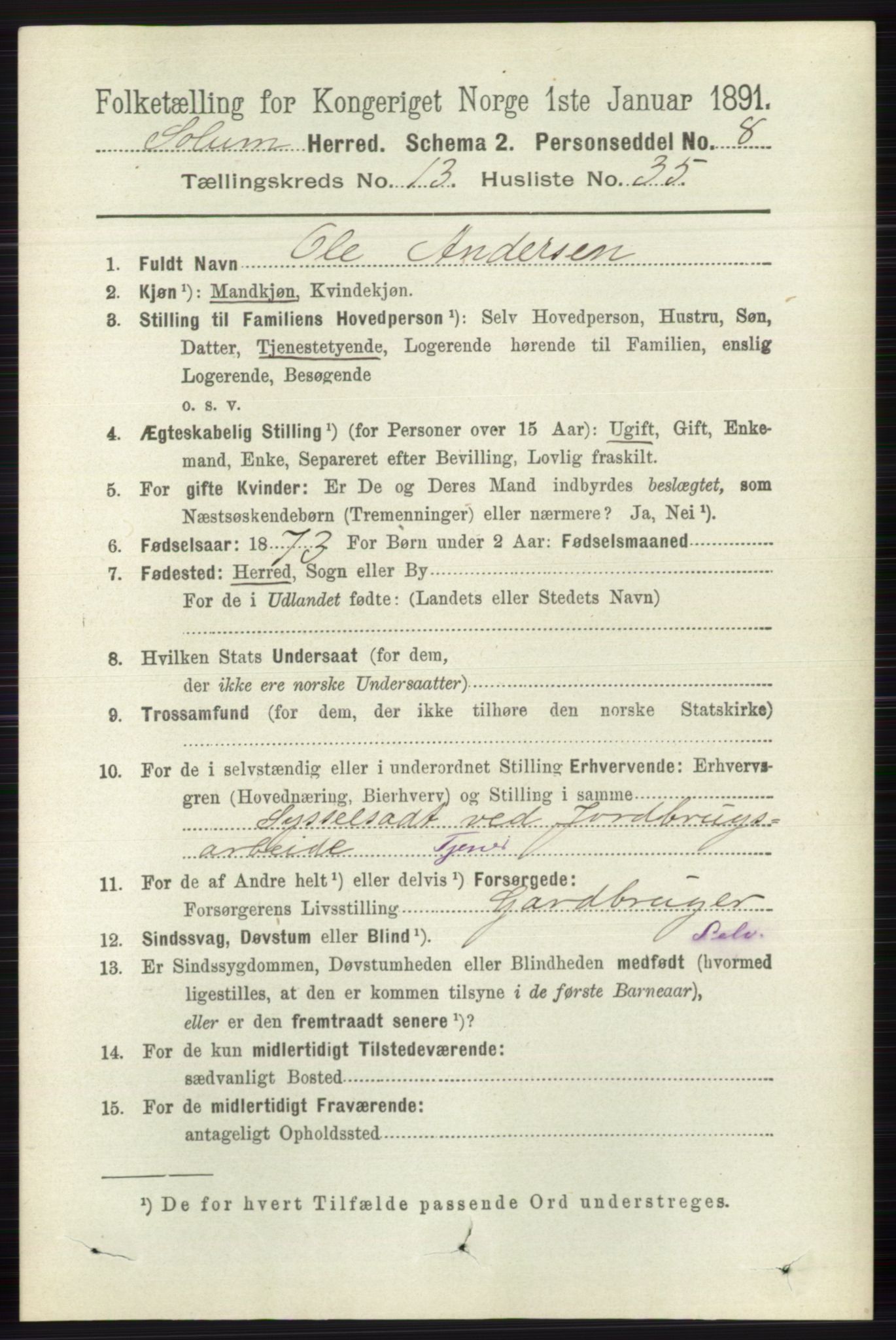 RA, 1891 census for 0818 Solum, 1891, p. 6232