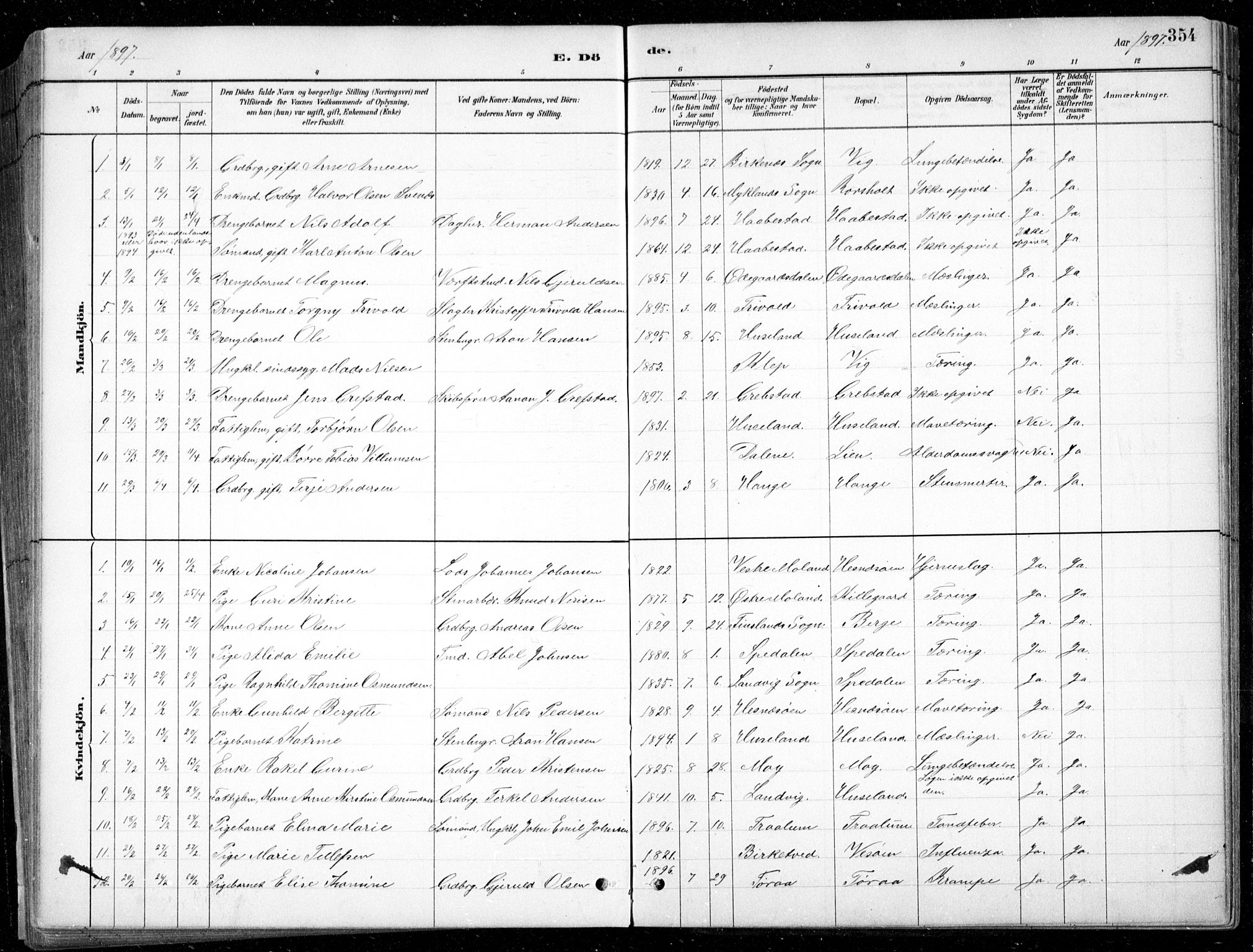 Fjære sokneprestkontor, SAK/1111-0011/F/Fb/L0011: Parish register (copy) no. B 11, 1881-1905, p. 354