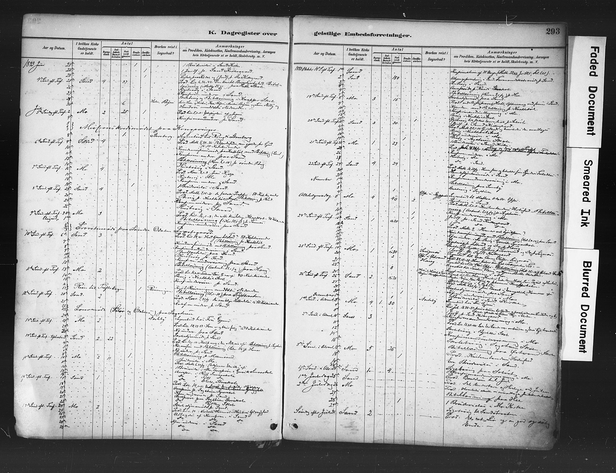 Nord-Odal prestekontor, AV/SAH-PREST-032/H/Ha/Haa/L0006: Parish register (official) no. 6, 1886-1901, p. 293