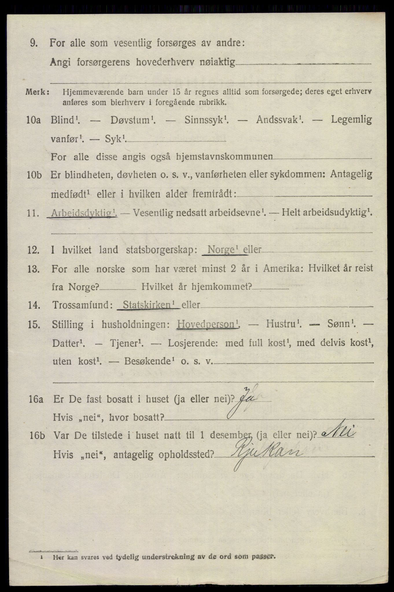 SAKO, 1920 census for Skåtøy, 1920, p. 2217