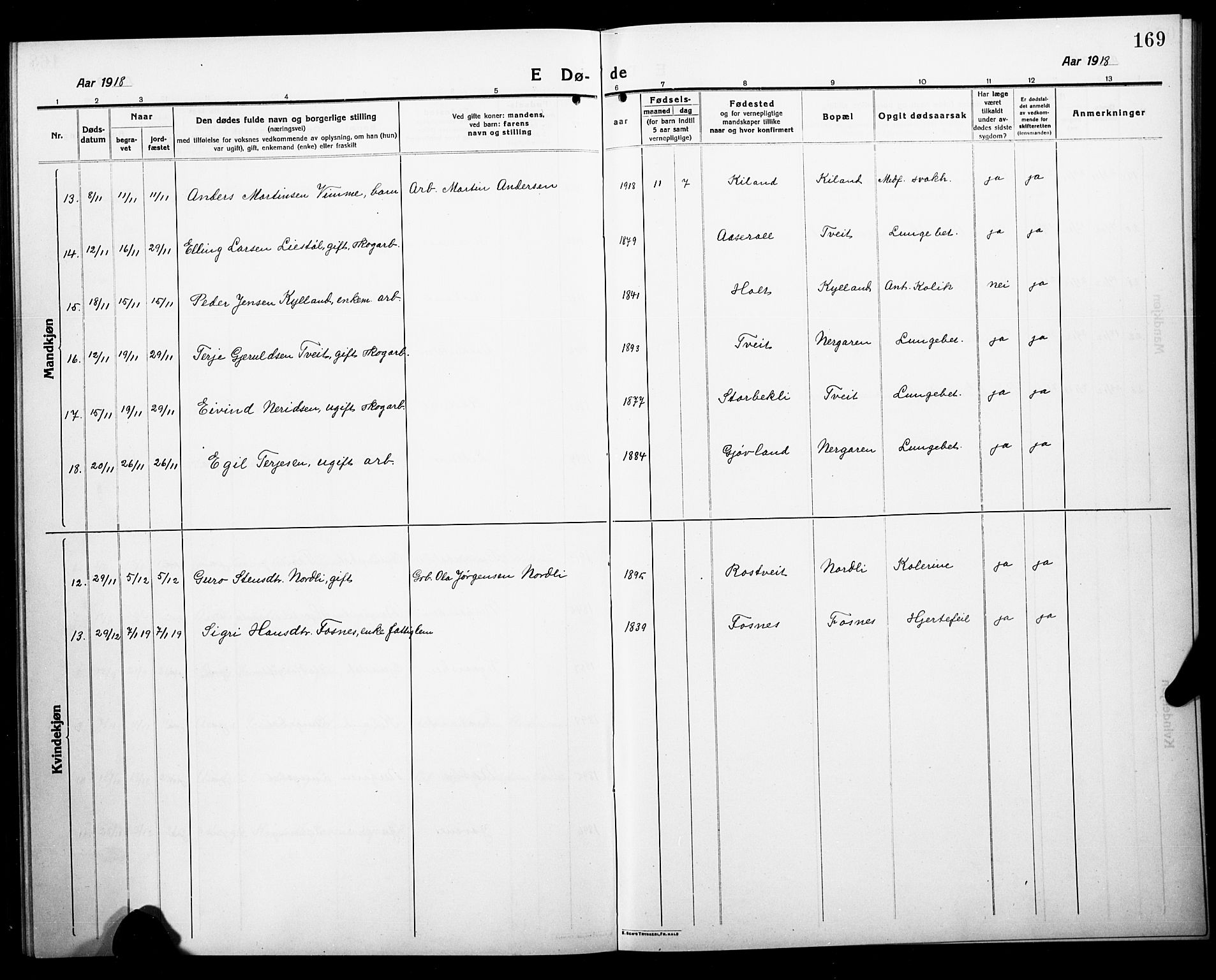 Åmli sokneprestkontor, AV/SAK-1111-0050/F/Fb/Fbc/L0006: Parish register (copy) no. B 6, 1915-1929, p. 169