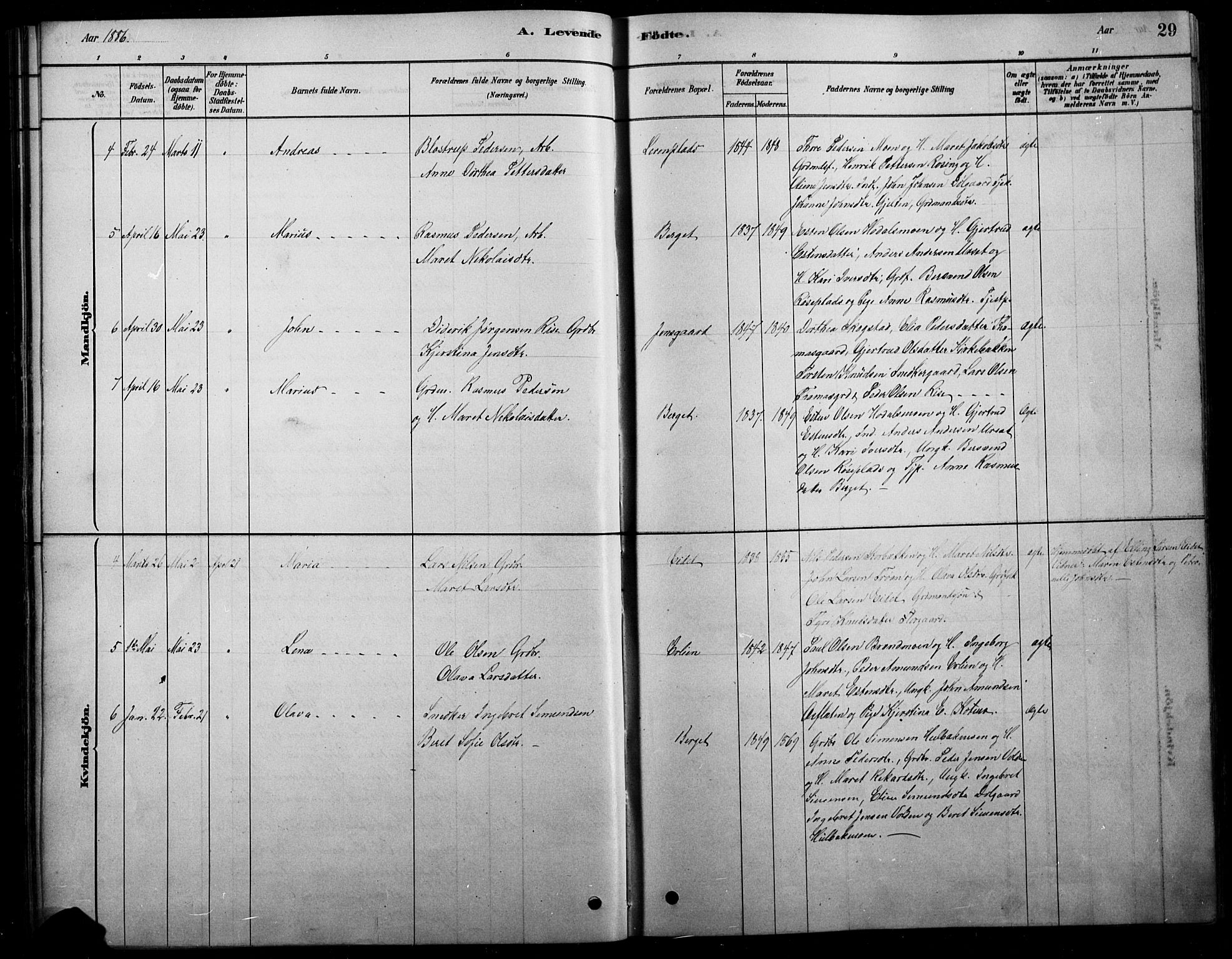 Tolga prestekontor, AV/SAH-PREST-062/L/L0007: Parish register (copy) no. 7, 1878-1919, p. 29