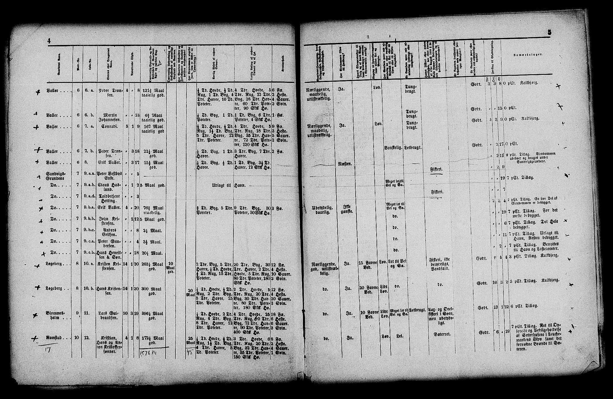 Matrikkelrevisjonen av 1863, AV/RA-S-1530/F/Fe/L0029: Bærum, 1863