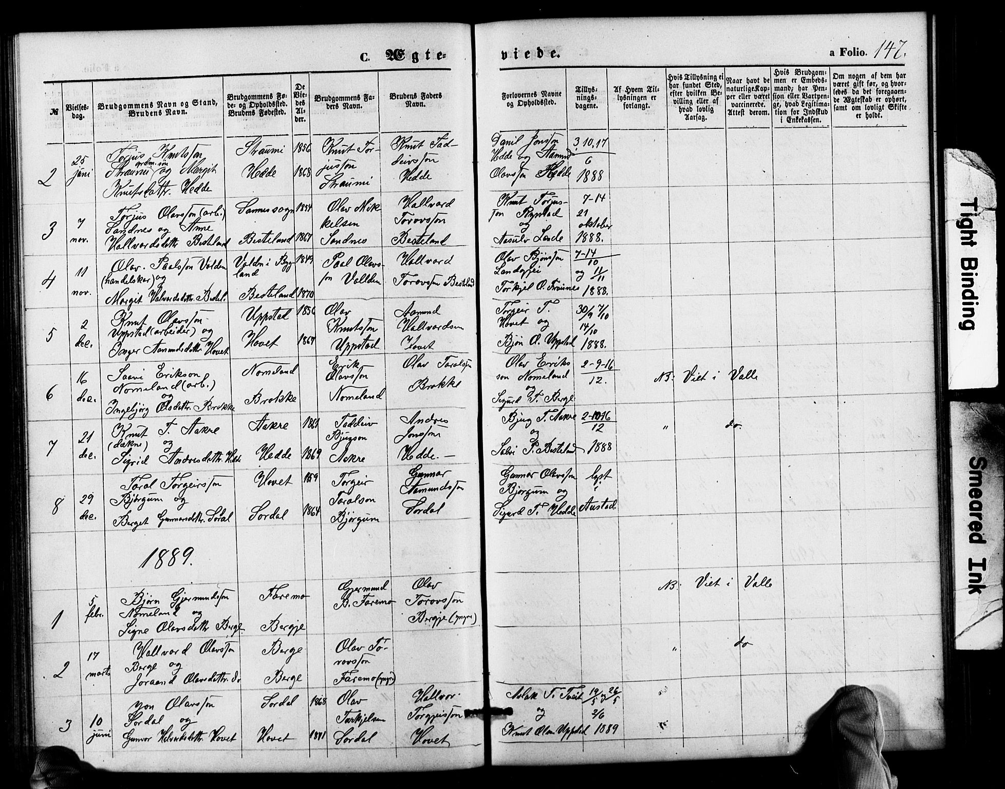 Valle sokneprestkontor, SAK/1111-0044/F/Fb/Fbb/L0002: Parish register (copy) no. B 2, 1875-1921, p. 147