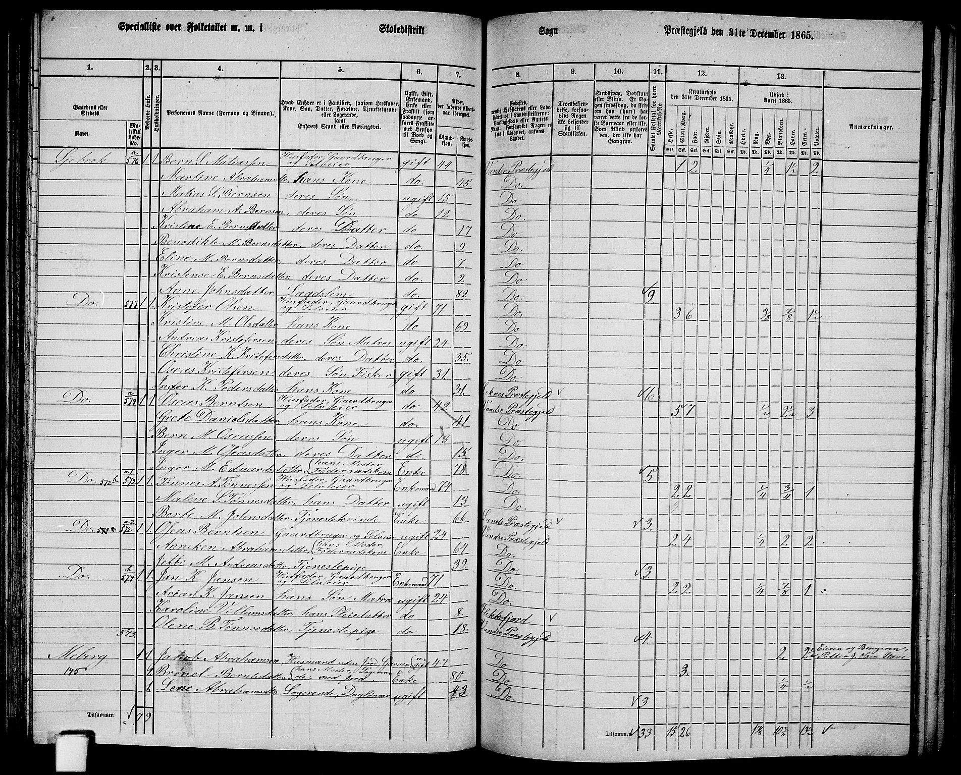 RA, 1865 census for Vanse/Vanse og Farsund, 1865, p. 155