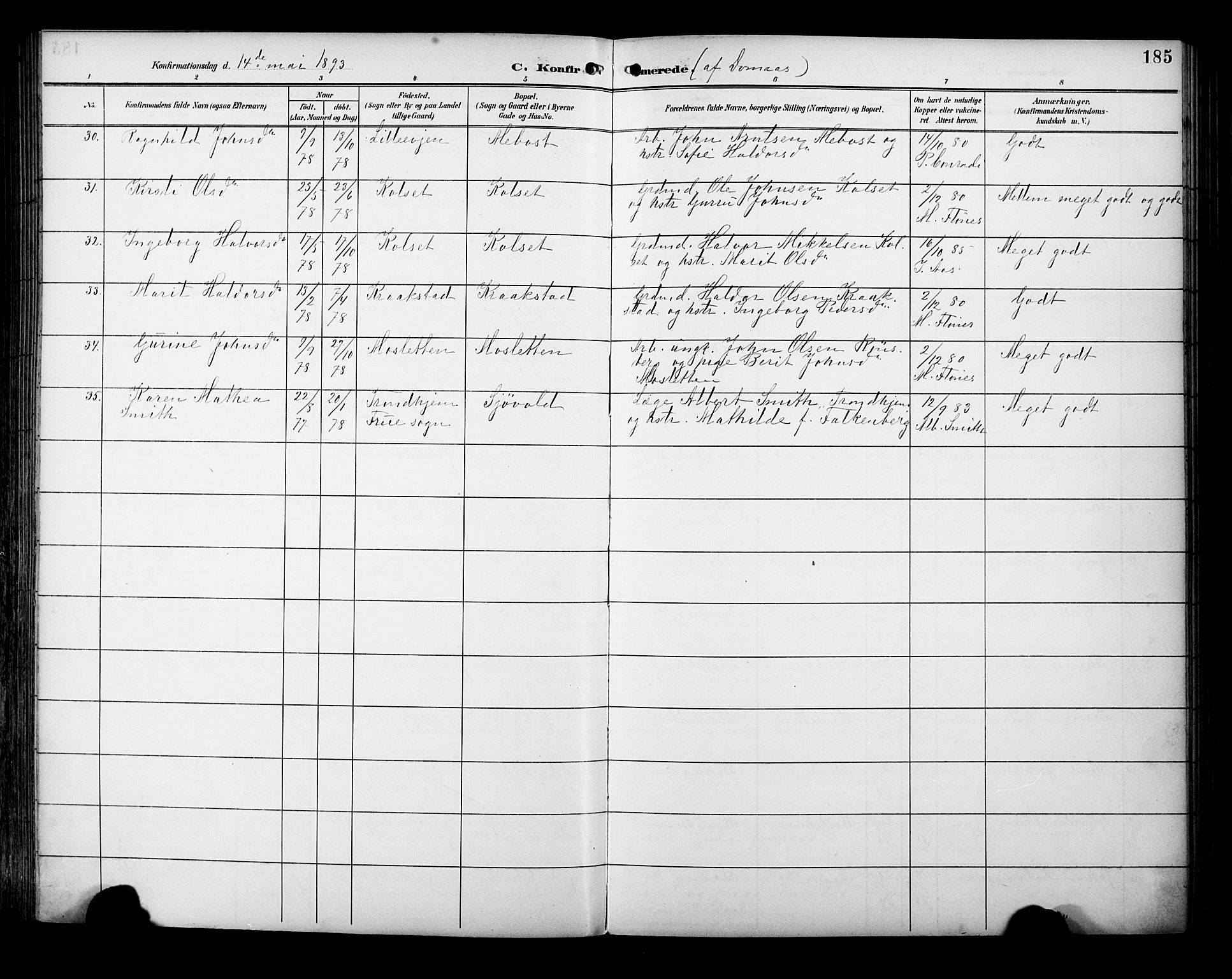 Ministerialprotokoller, klokkerbøker og fødselsregistre - Sør-Trøndelag, SAT/A-1456/695/L1149: Parish register (official) no. 695A09, 1891-1902, p. 185