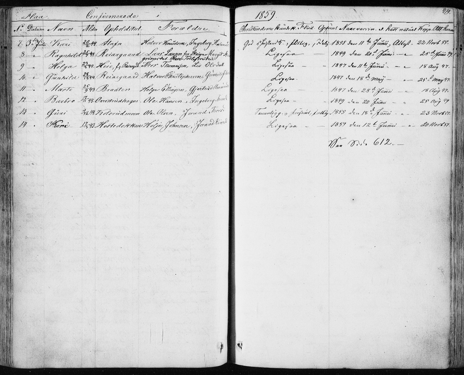 Nes kirkebøker, AV/SAKO-A-236/F/Fa/L0009: Parish register (official) no. 9, 1834-1863, p. 419