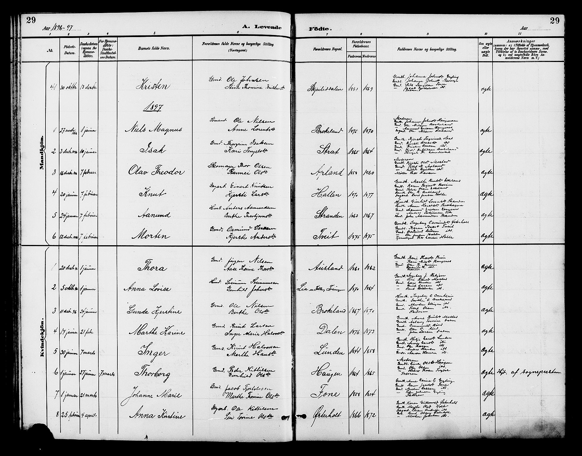 Gjerstad sokneprestkontor, SAK/1111-0014/F/Fb/Fba/L0007: Parish register (copy) no. B 7, 1891-1908, p. 29