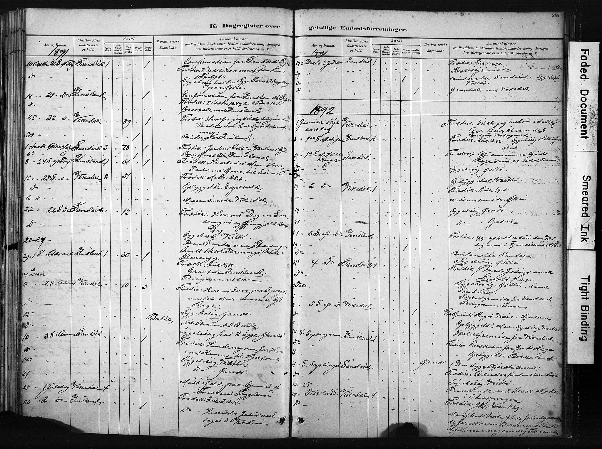 Vikedal sokneprestkontor, AV/SAST-A-101840/01/IV: Parish register (official) no. A 10, 1884-1907, p. 216