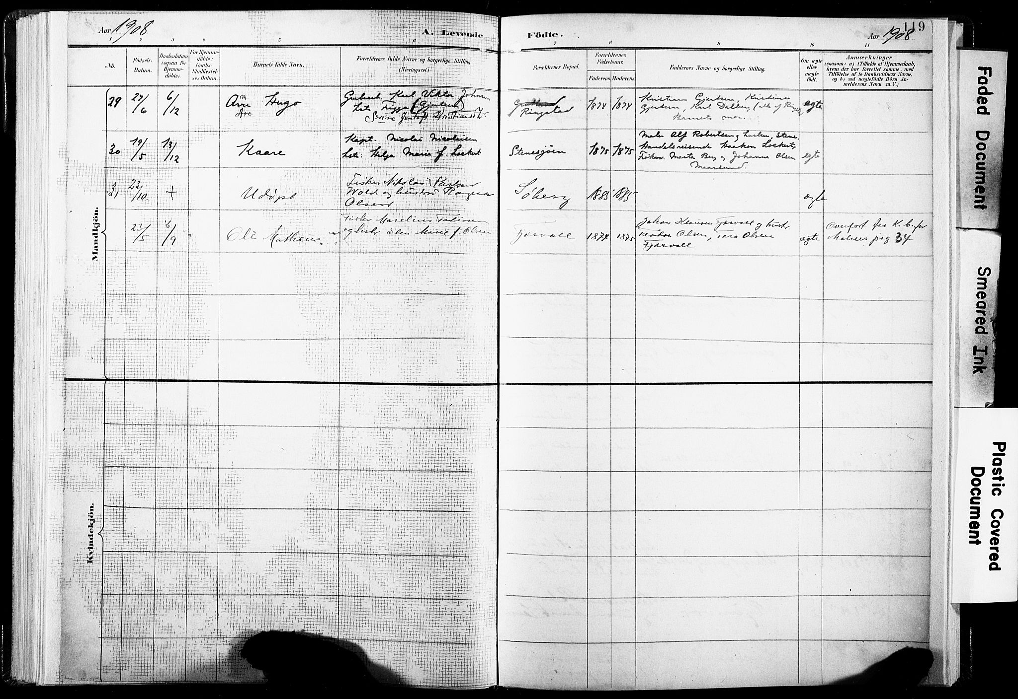 Ministerialprotokoller, klokkerbøker og fødselsregistre - Nordland, AV/SAT-A-1459/891/L1304: Parish register (official) no. 891A09, 1895-1921, p. 119