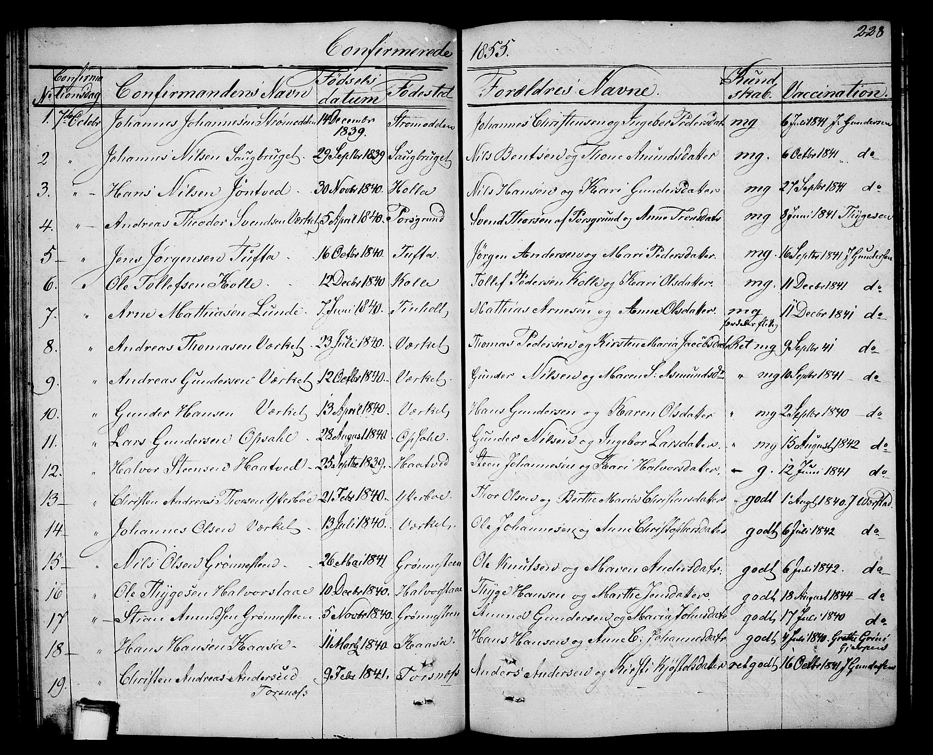 Holla kirkebøker, SAKO/A-272/G/Ga/L0003: Parish register (copy) no. I 3, 1849-1866, p. 228
