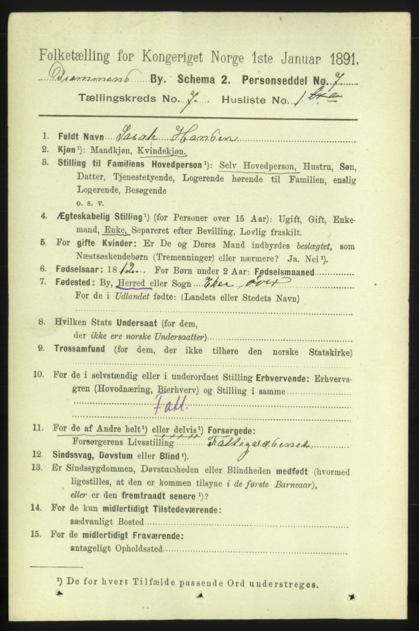 RA, 1891 census for 0602 Drammen, 1891, p. 6358