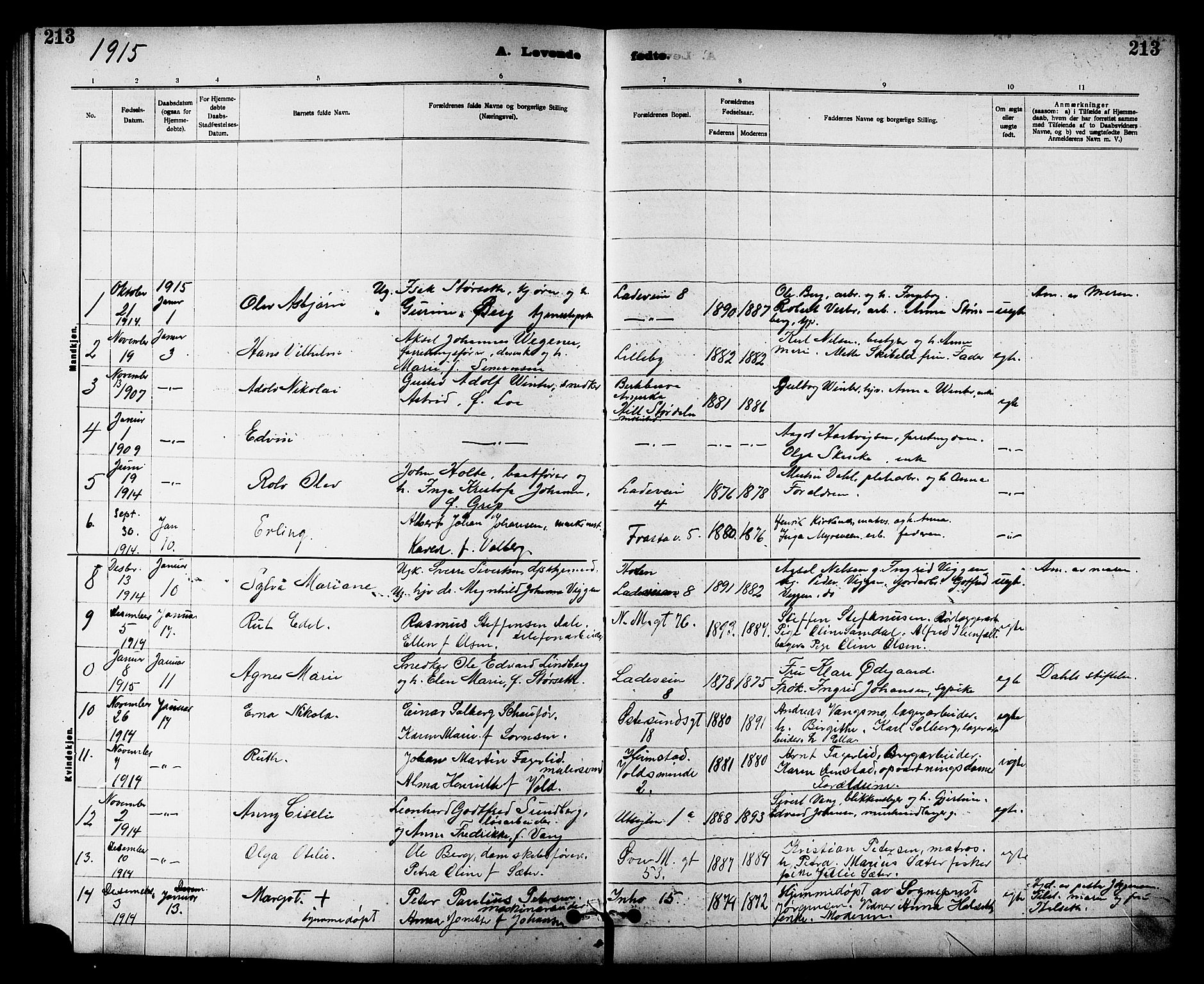 Ministerialprotokoller, klokkerbøker og fødselsregistre - Sør-Trøndelag, SAT/A-1456/605/L0254: Parish register (copy) no. 605C01, 1908-1916, p. 213