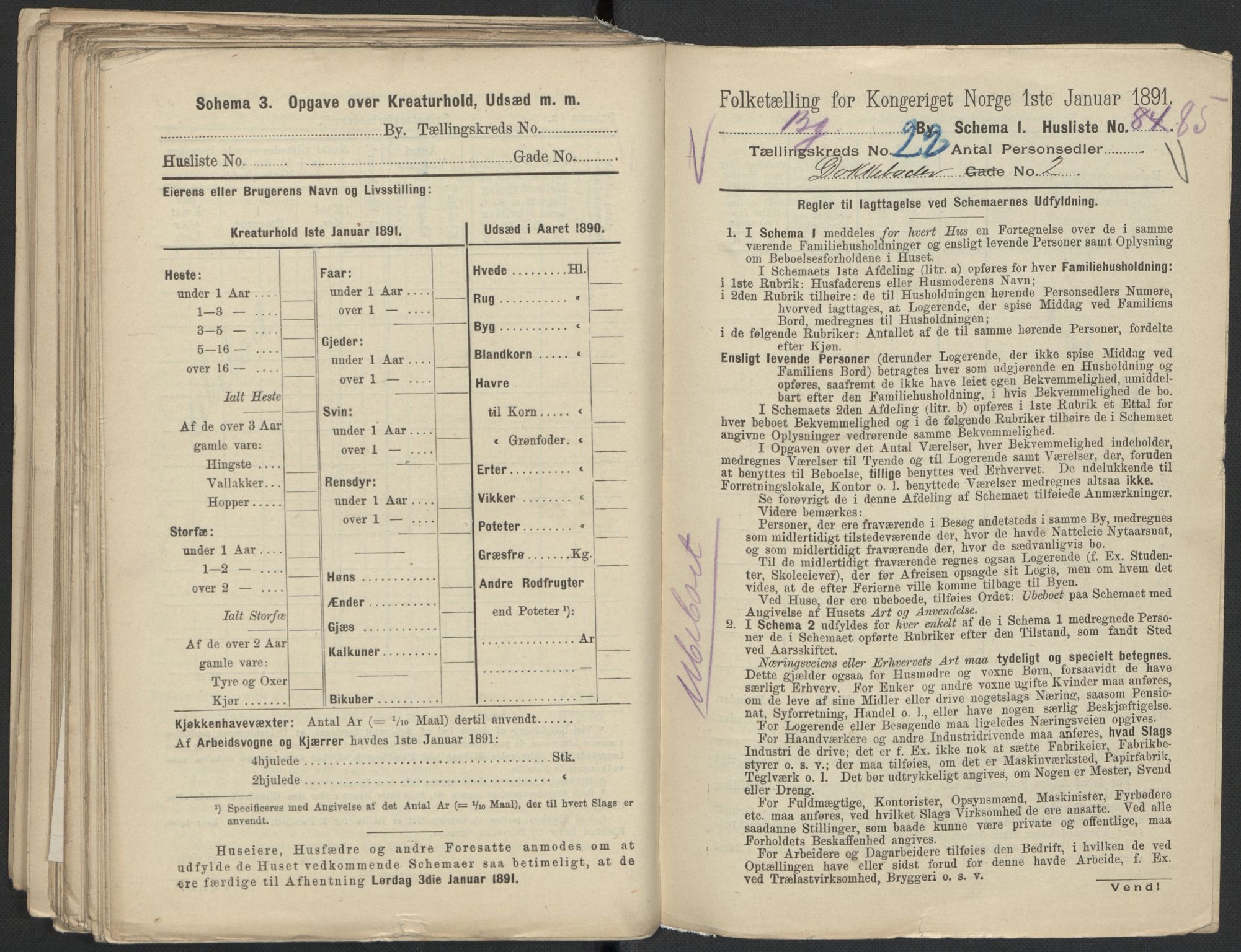 RA, 1891 Census for 1301 Bergen, 1891, p. 3633