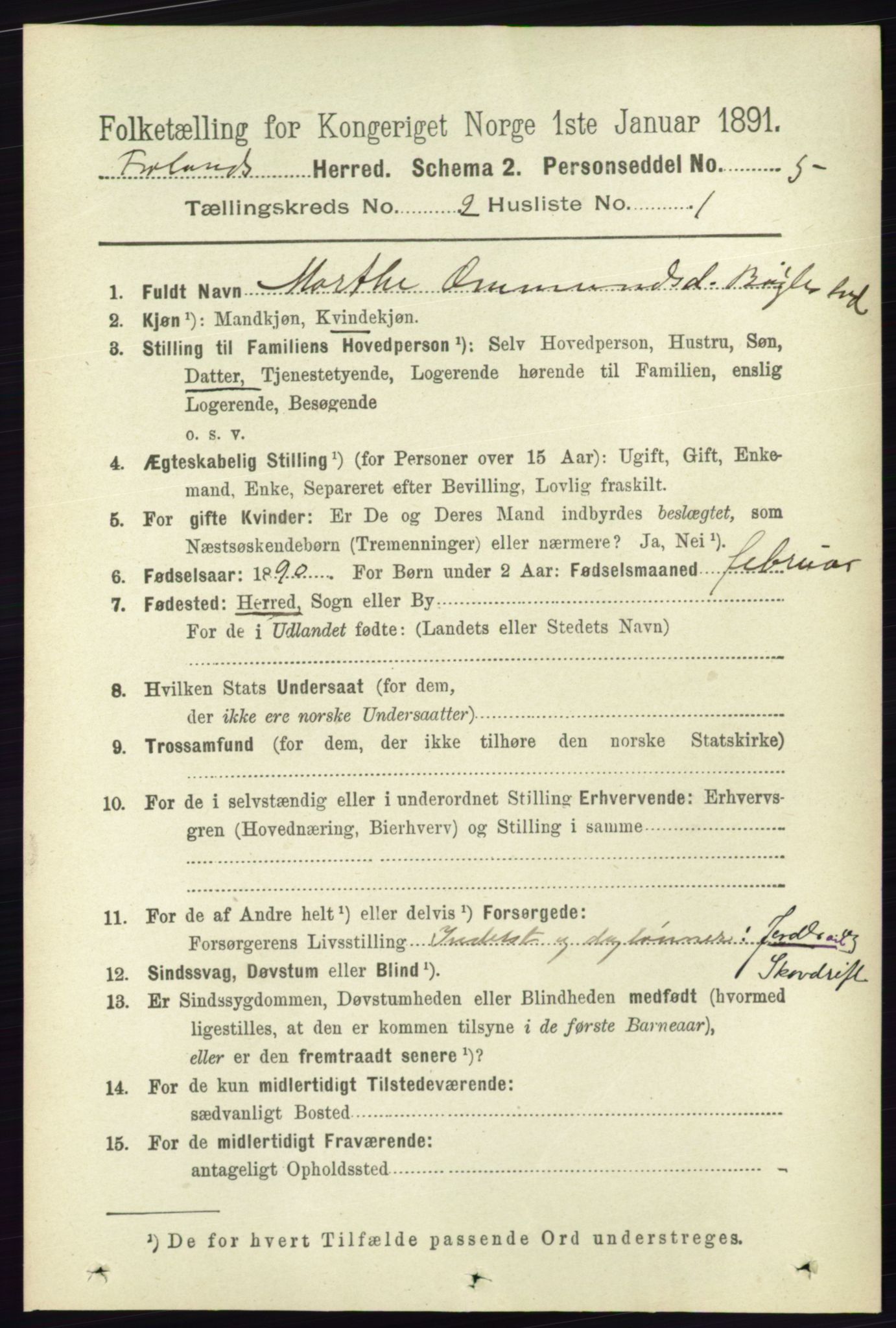 RA, 1891 census for 0919 Froland, 1891, p. 482