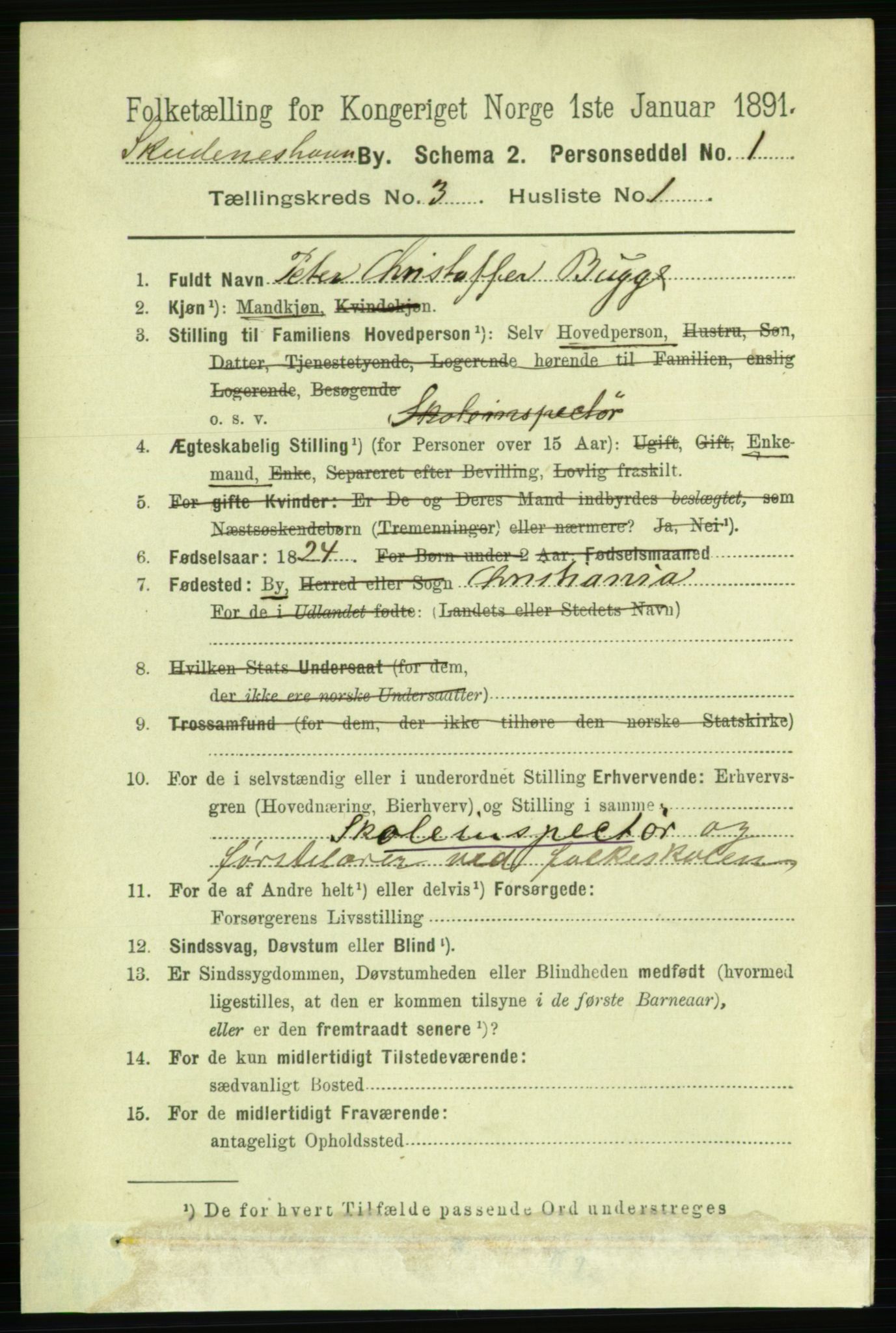 RA, 1891 census for 1104 Skudeneshavn, 1891, p. 965